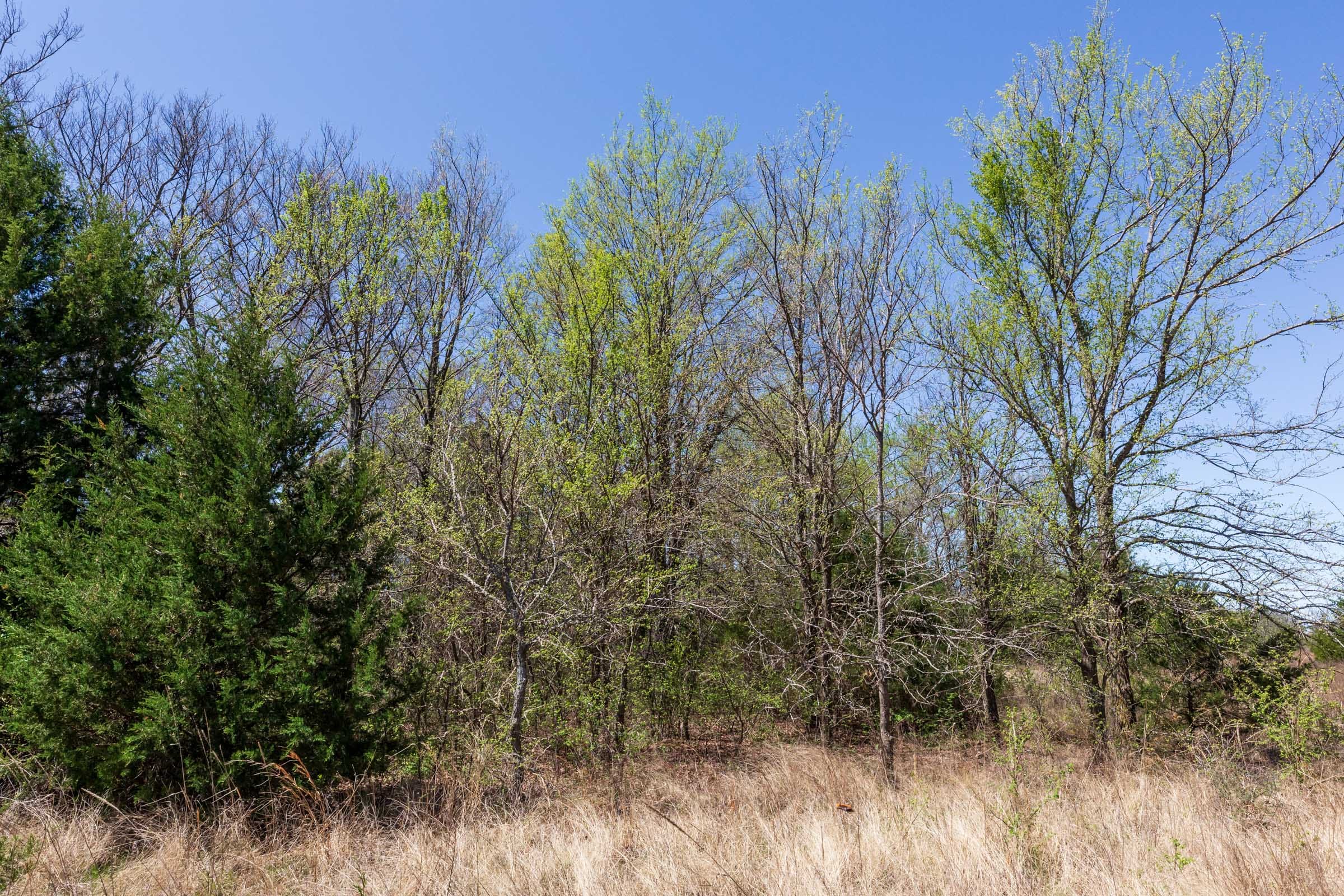 Prairie Grove Tract 13 photo 14