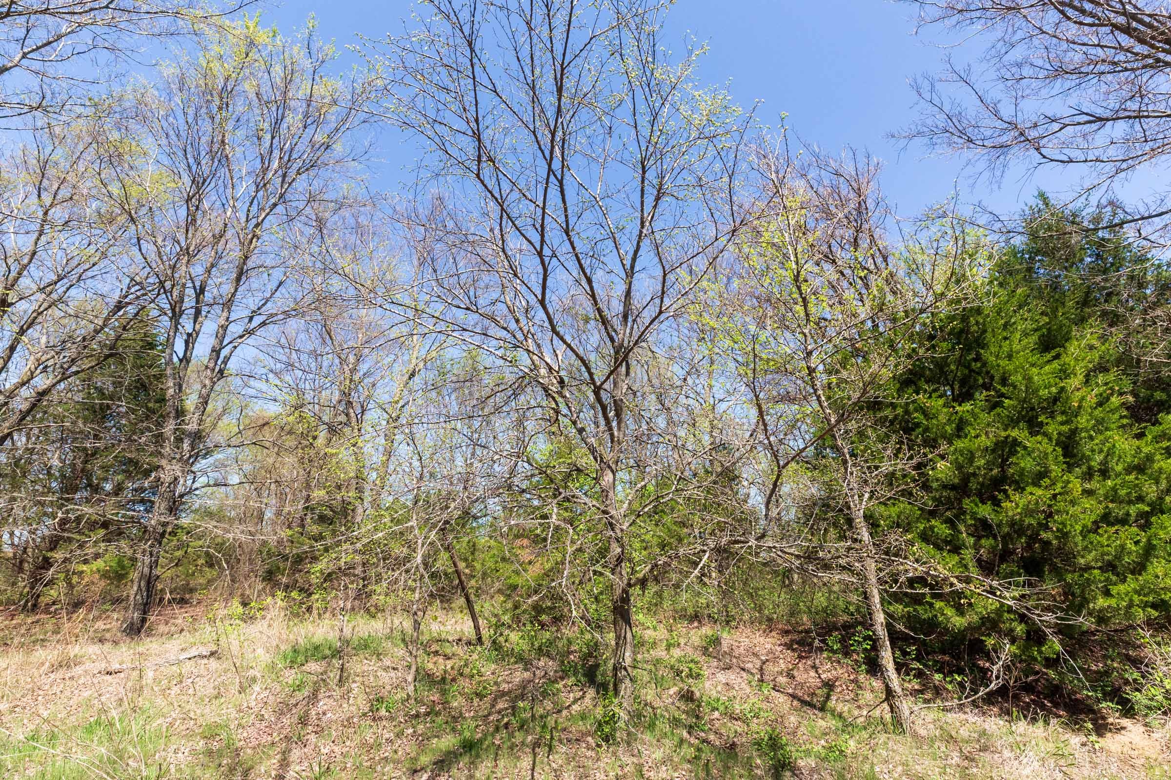 Prairie Grove Tract 13 photo 16
