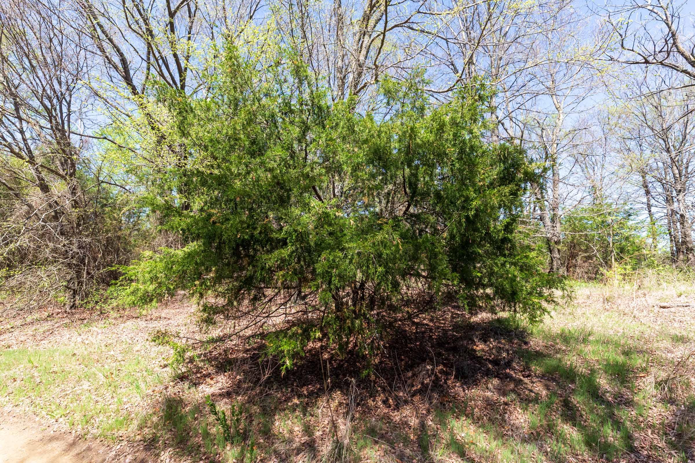 Prairie Grove Tract 13 photo 20