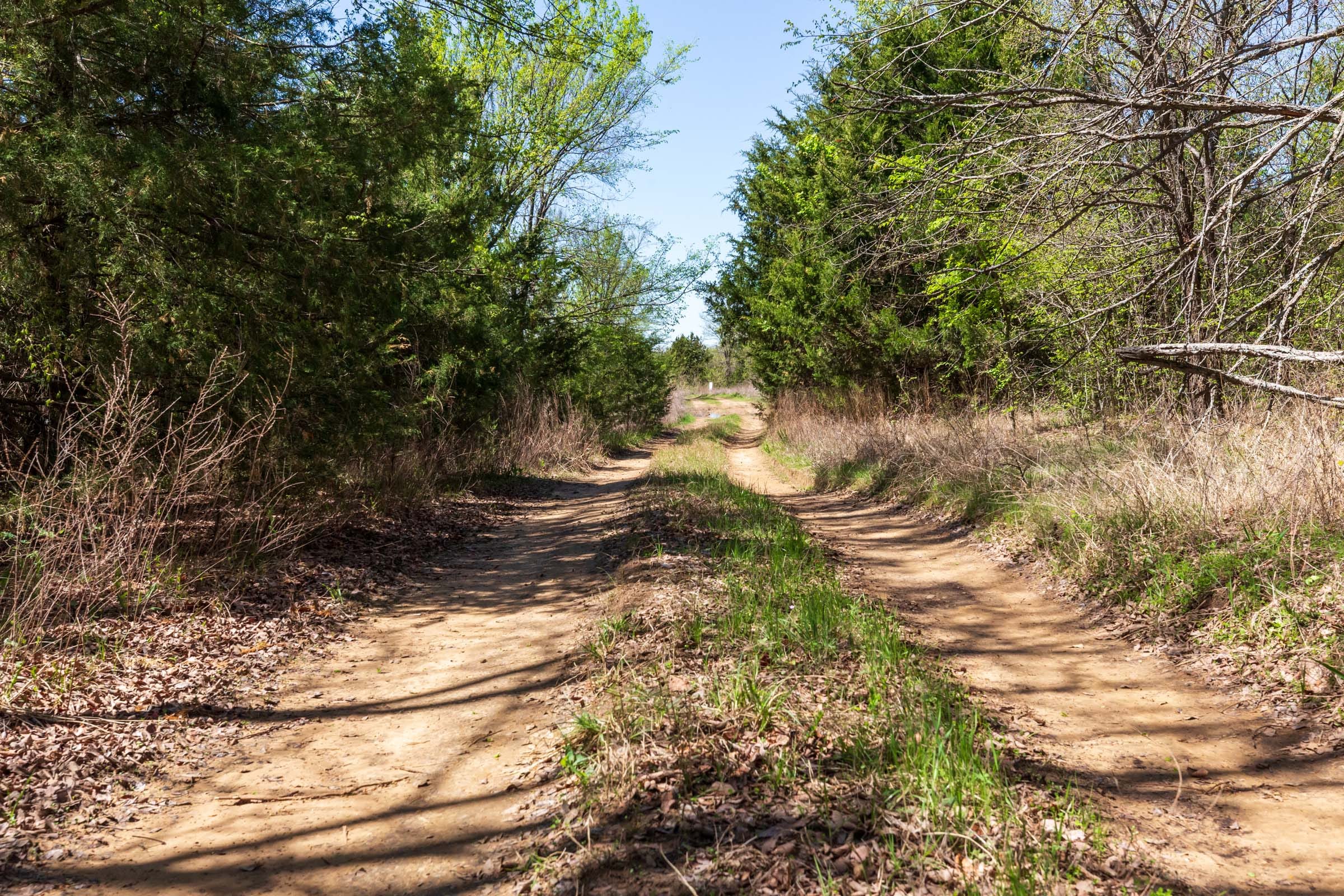 Prairie Grove Tract 13 photo 12