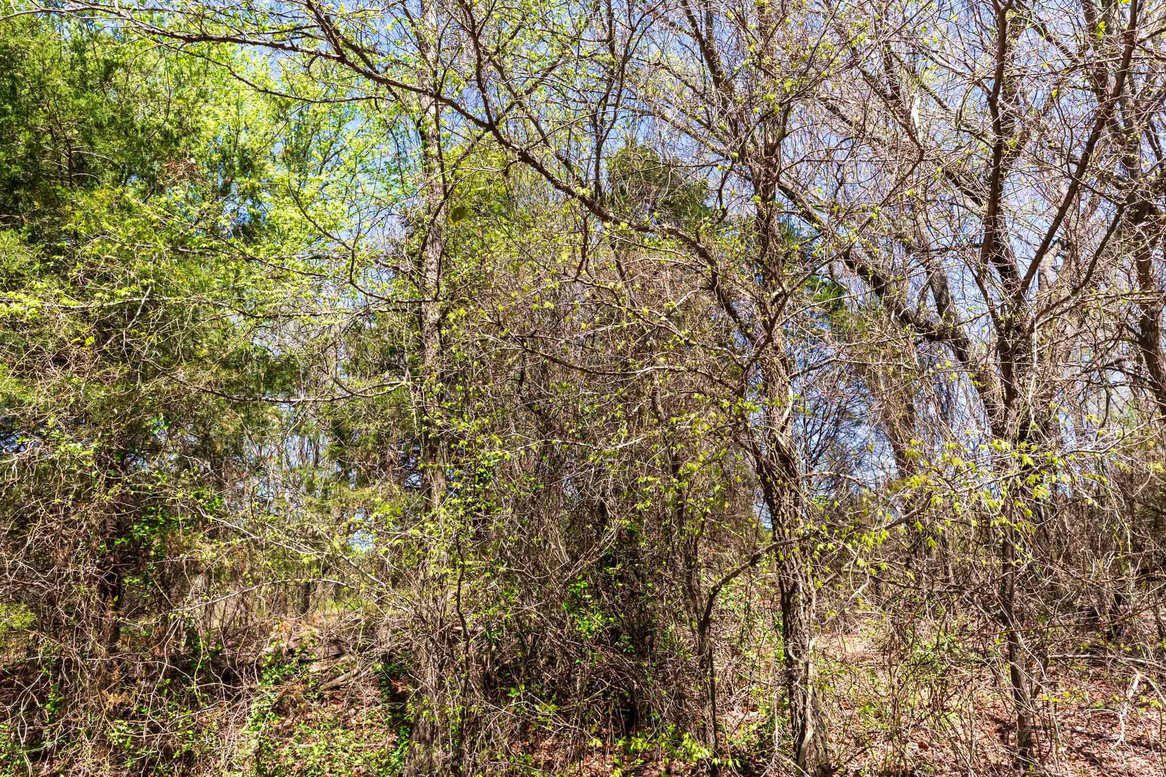 Prairie Grove Tract 13 photo 21