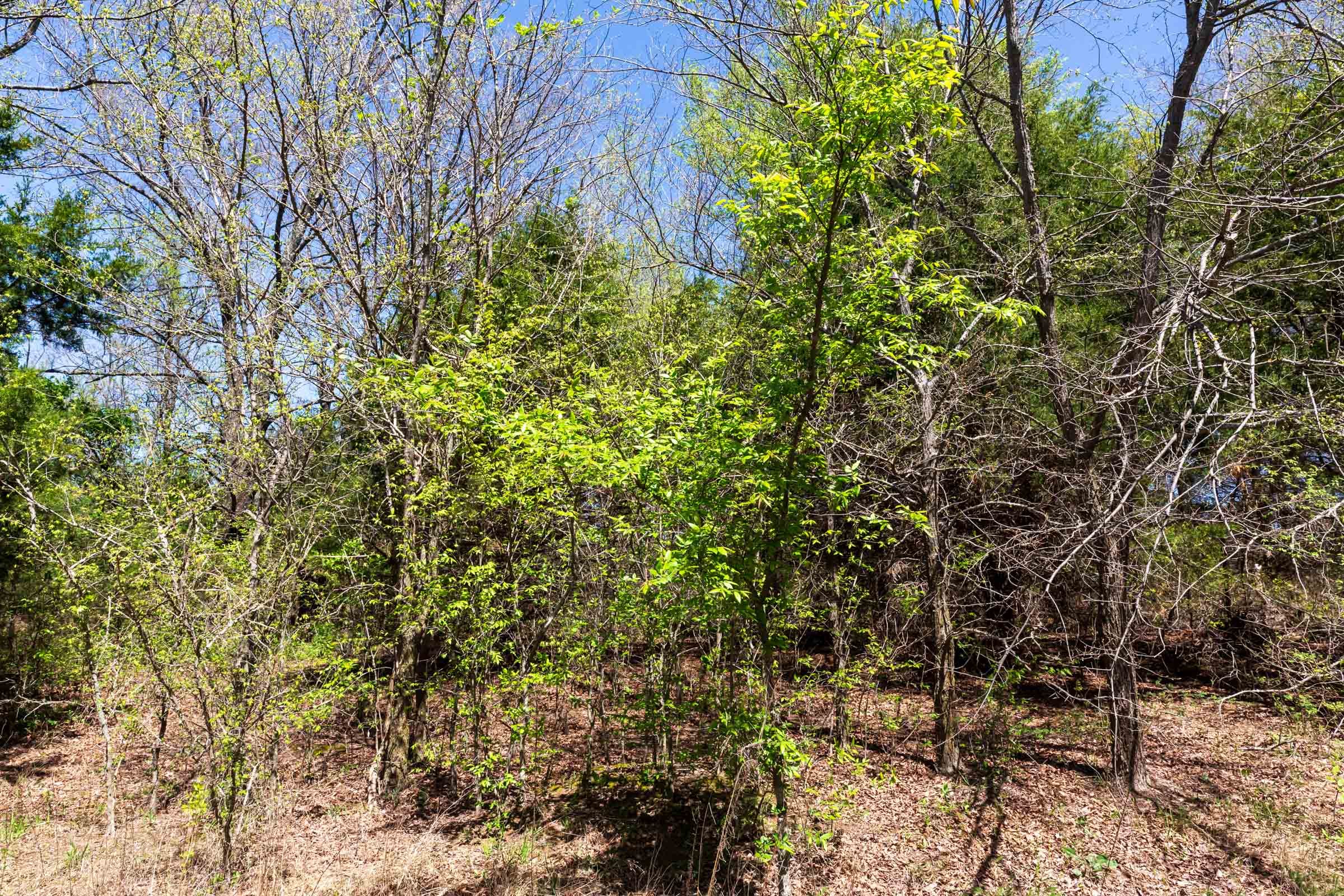 Prairie Grove Tract 13 photo 23