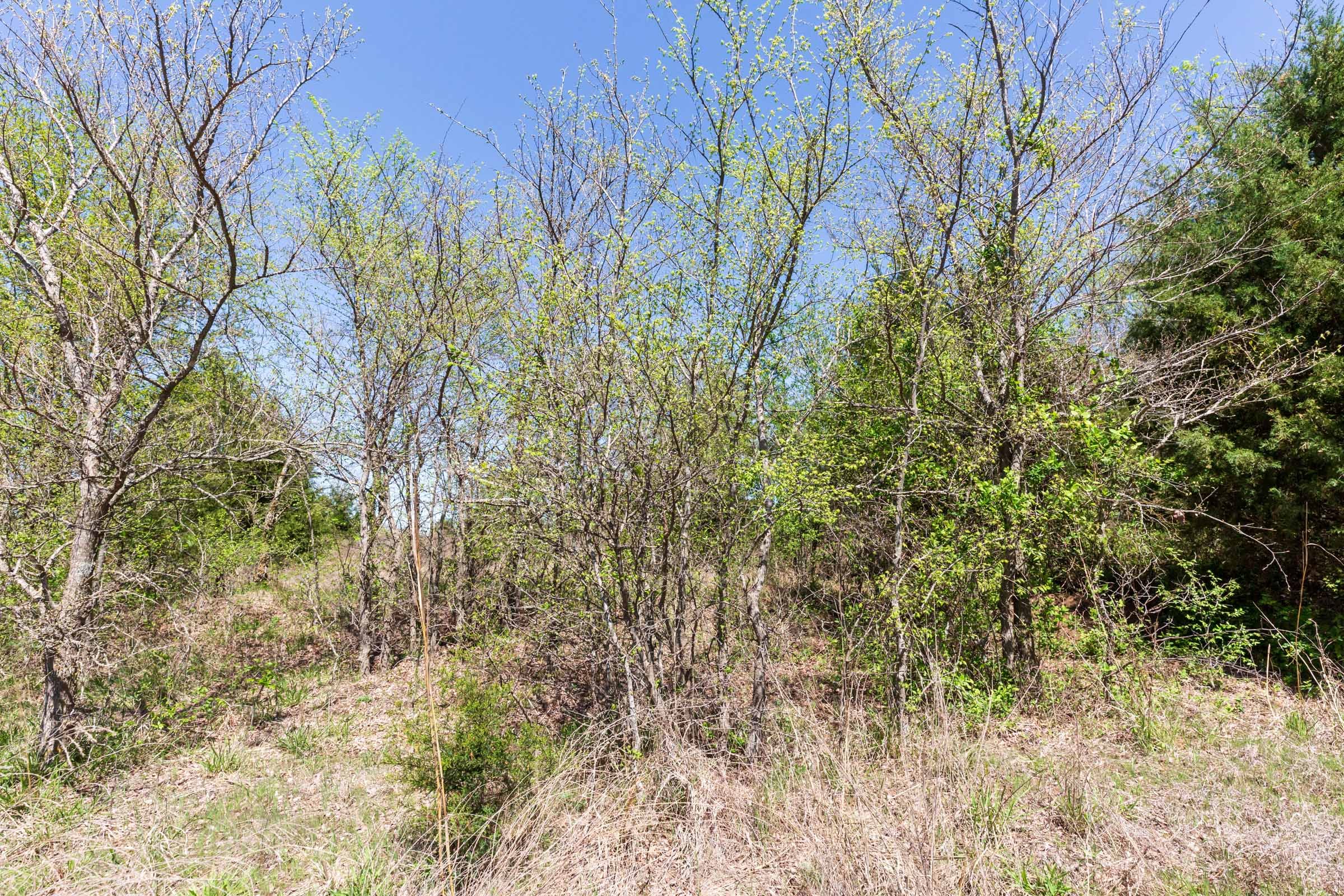 Prairie Grove Tract 13 photo 26