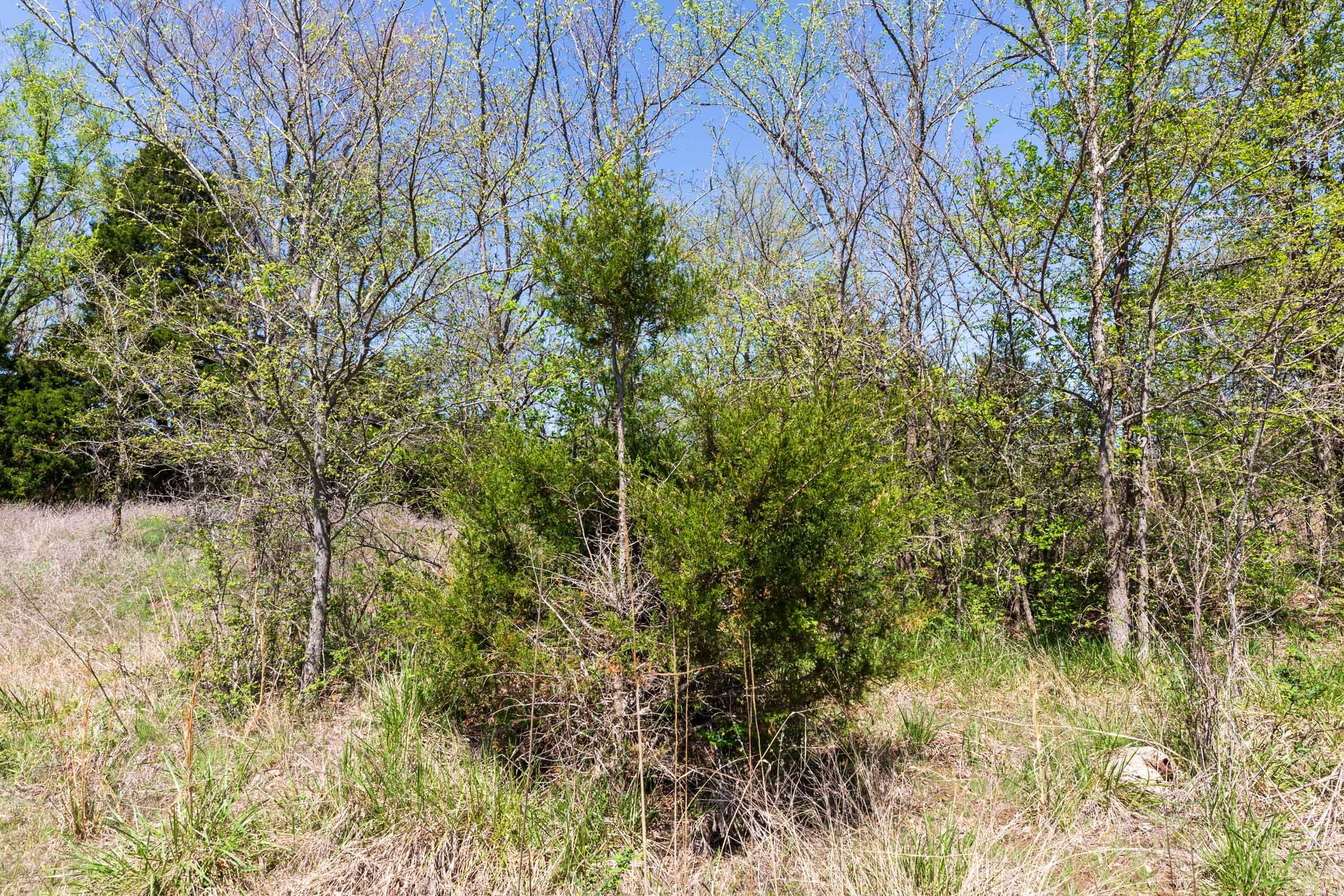 Prairie Grove Tract 13 photo 27
