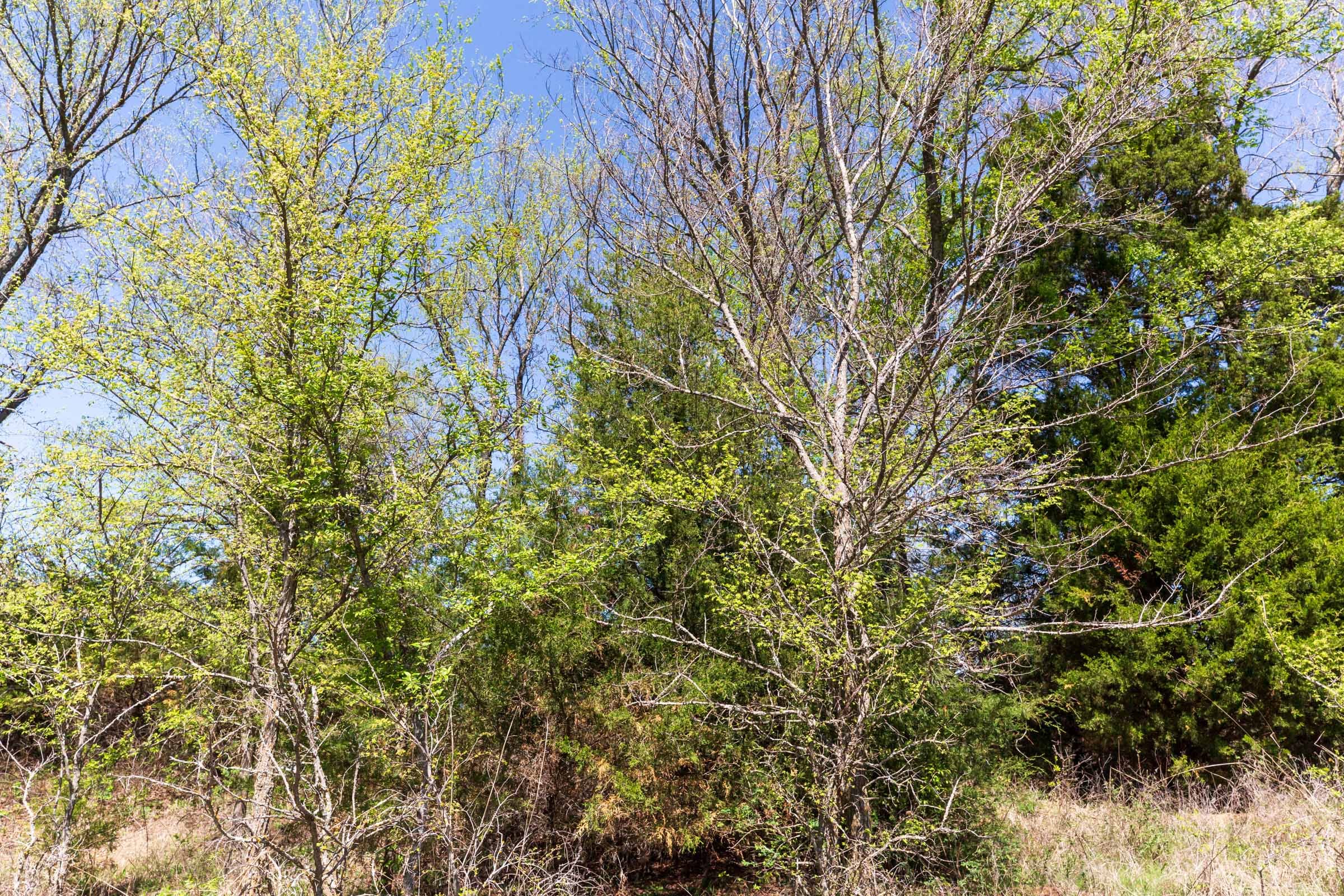 Prairie Grove Tract 13 photo 28