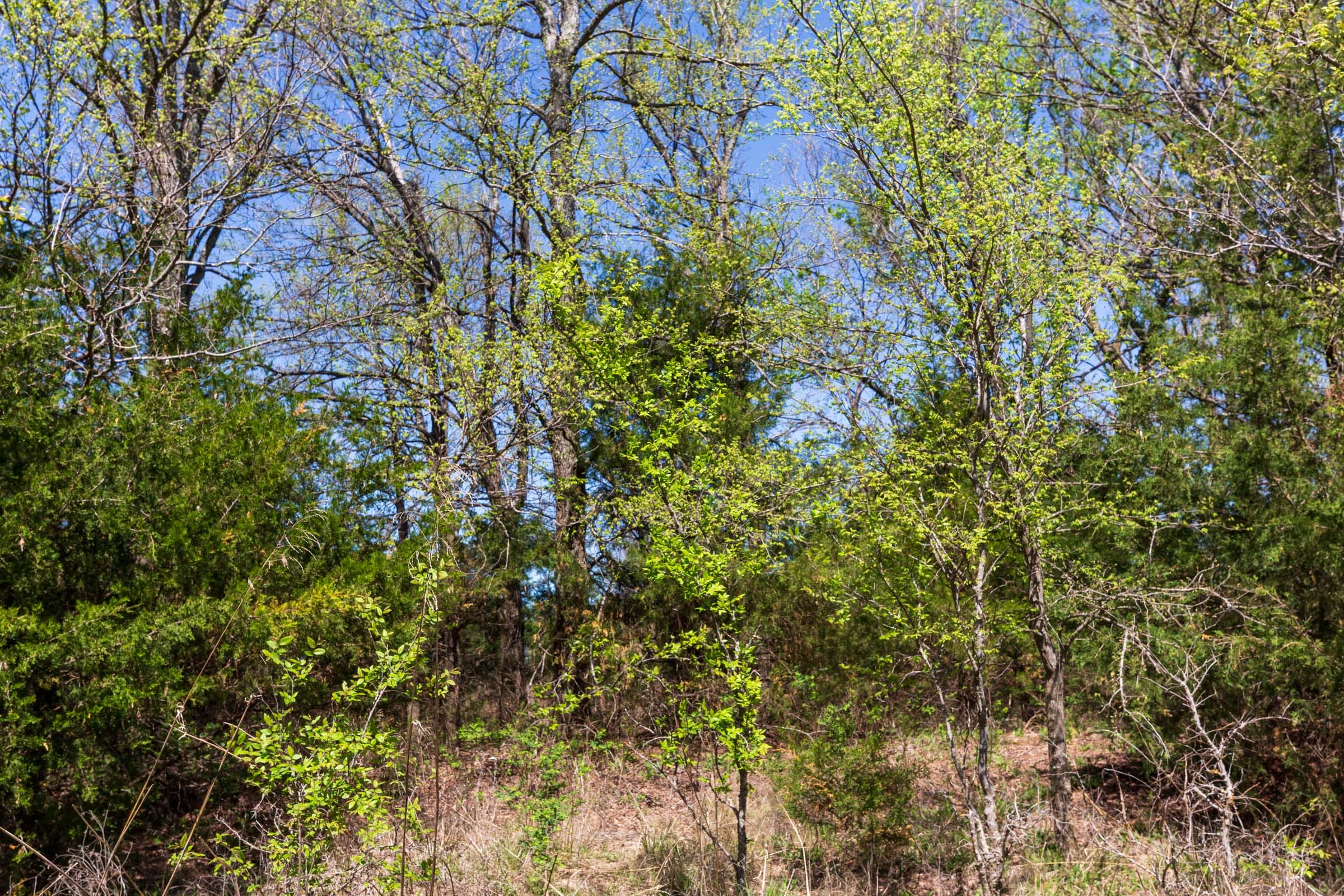 Prairie Grove Tract 13 photo 25
