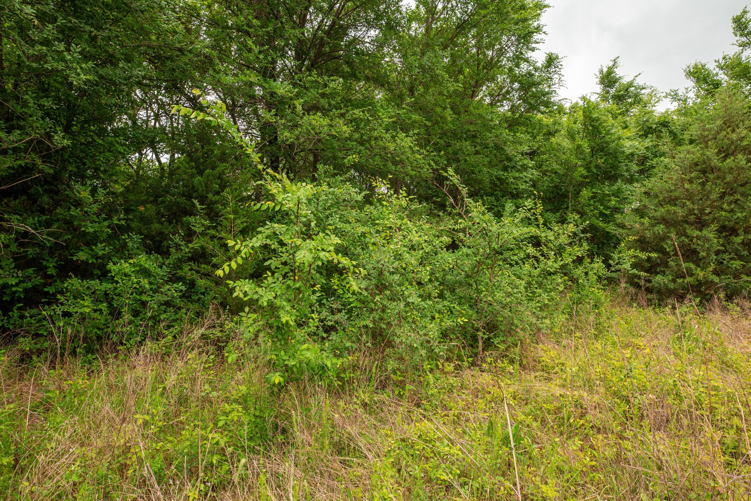 Prairie Grove Tract 13 photo 17