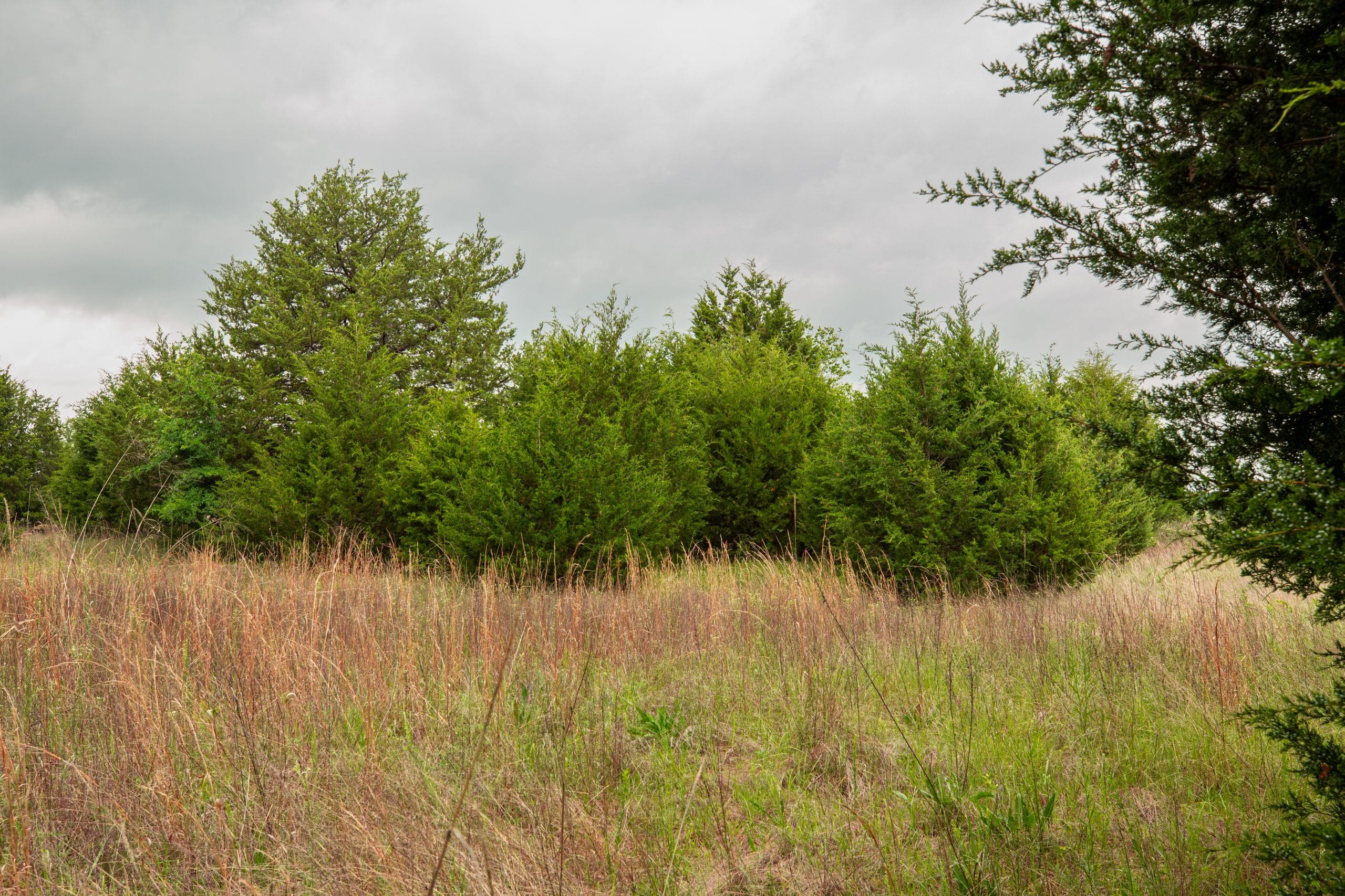 Prairie Grove Tract 13 photo 7