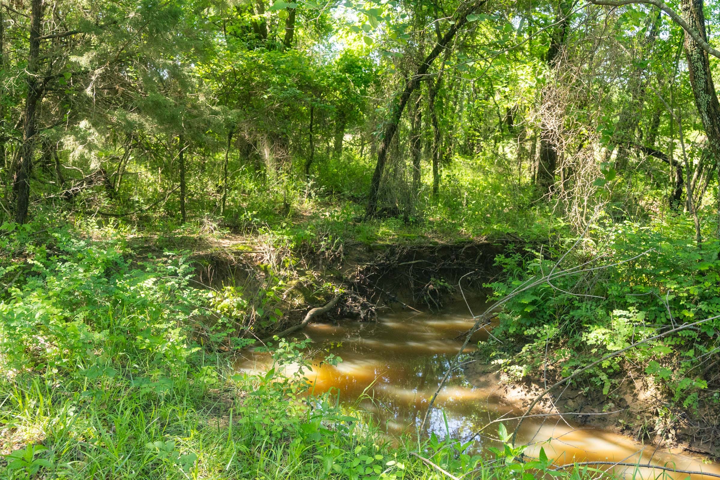 Harmony Hills Tract 26 photo 5