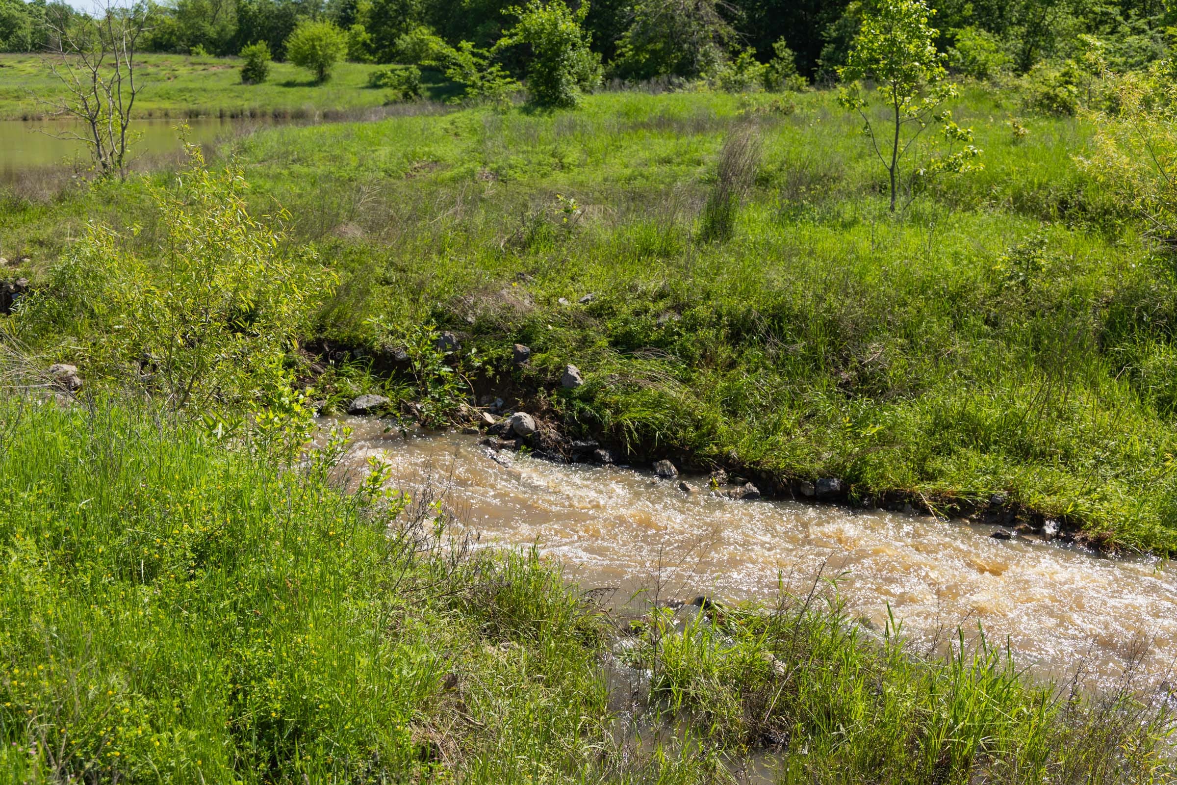 Harmony Hills Tract 26 photo 8
