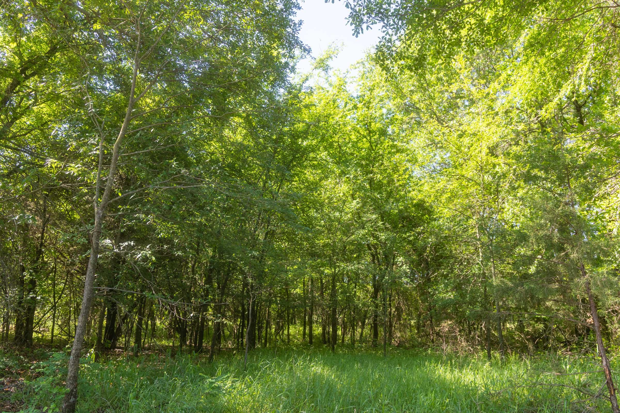 Harmony Hills Tract 26 photo 9