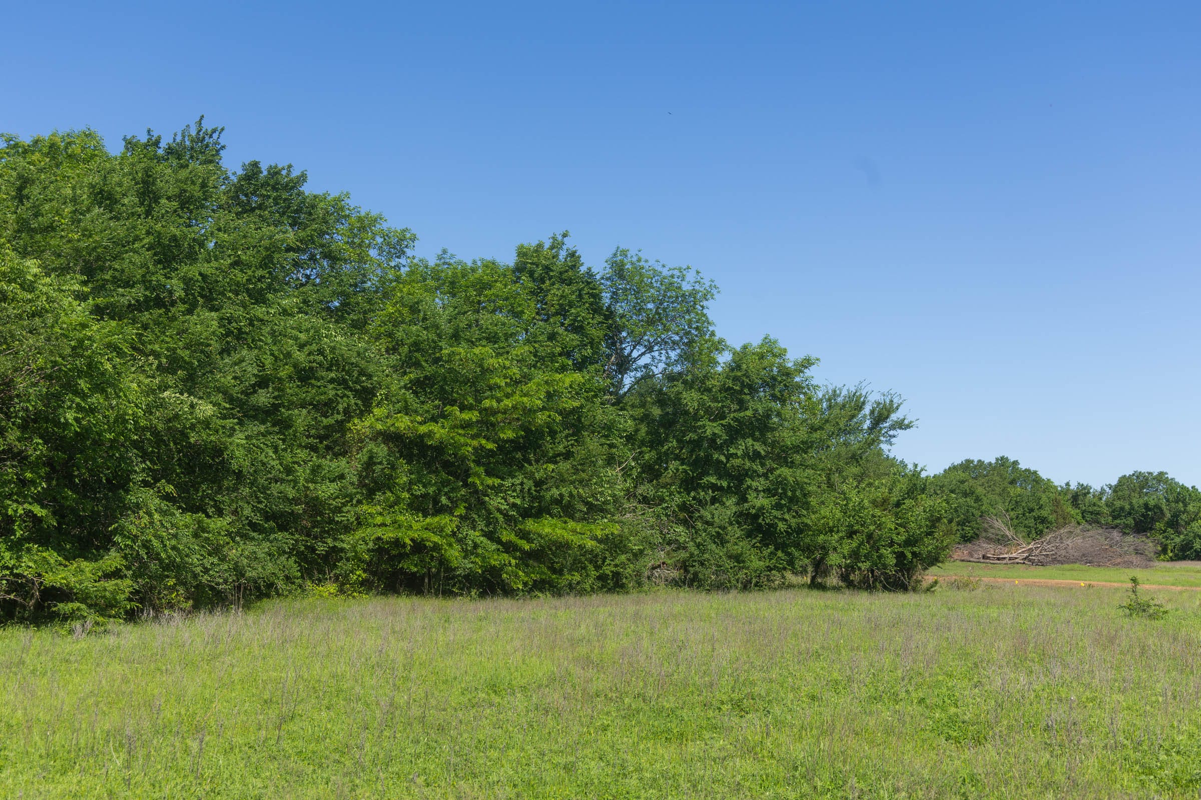 Harmony Hills Tract 26 photo 10