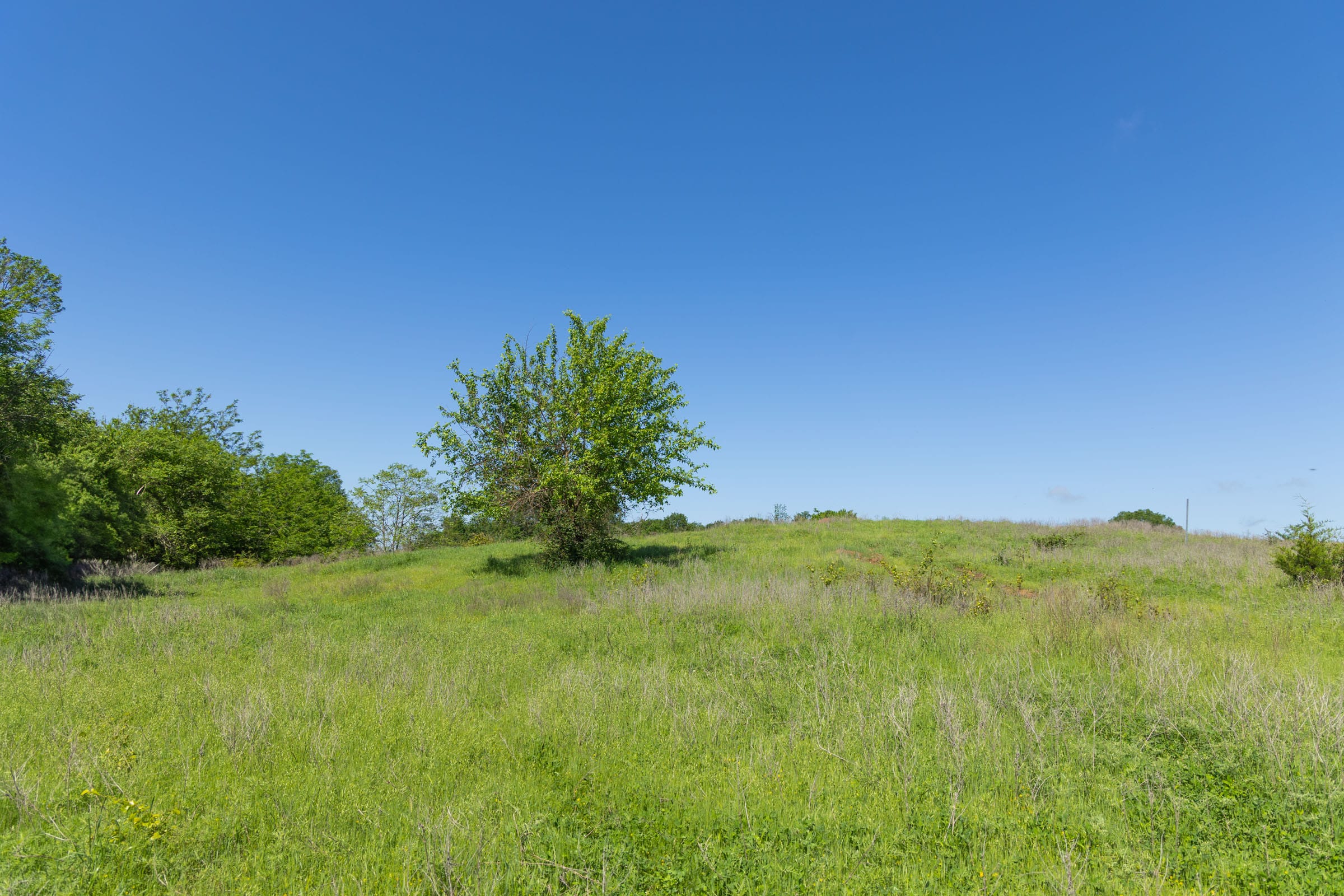 Harmony Hills Tract 26 photo 3
