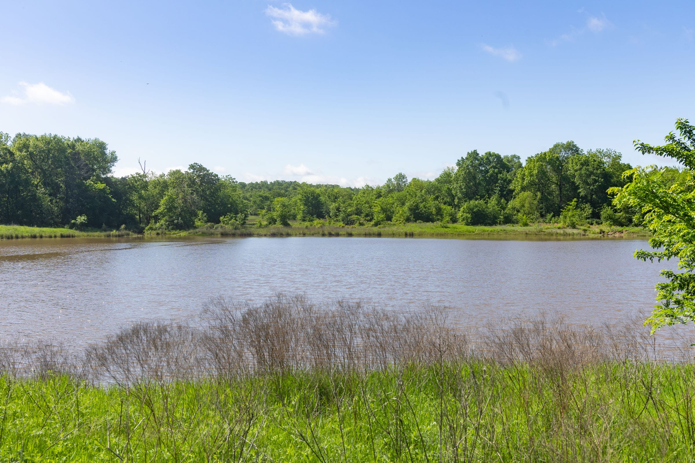 Harmony Hills Tract 26 photo 13