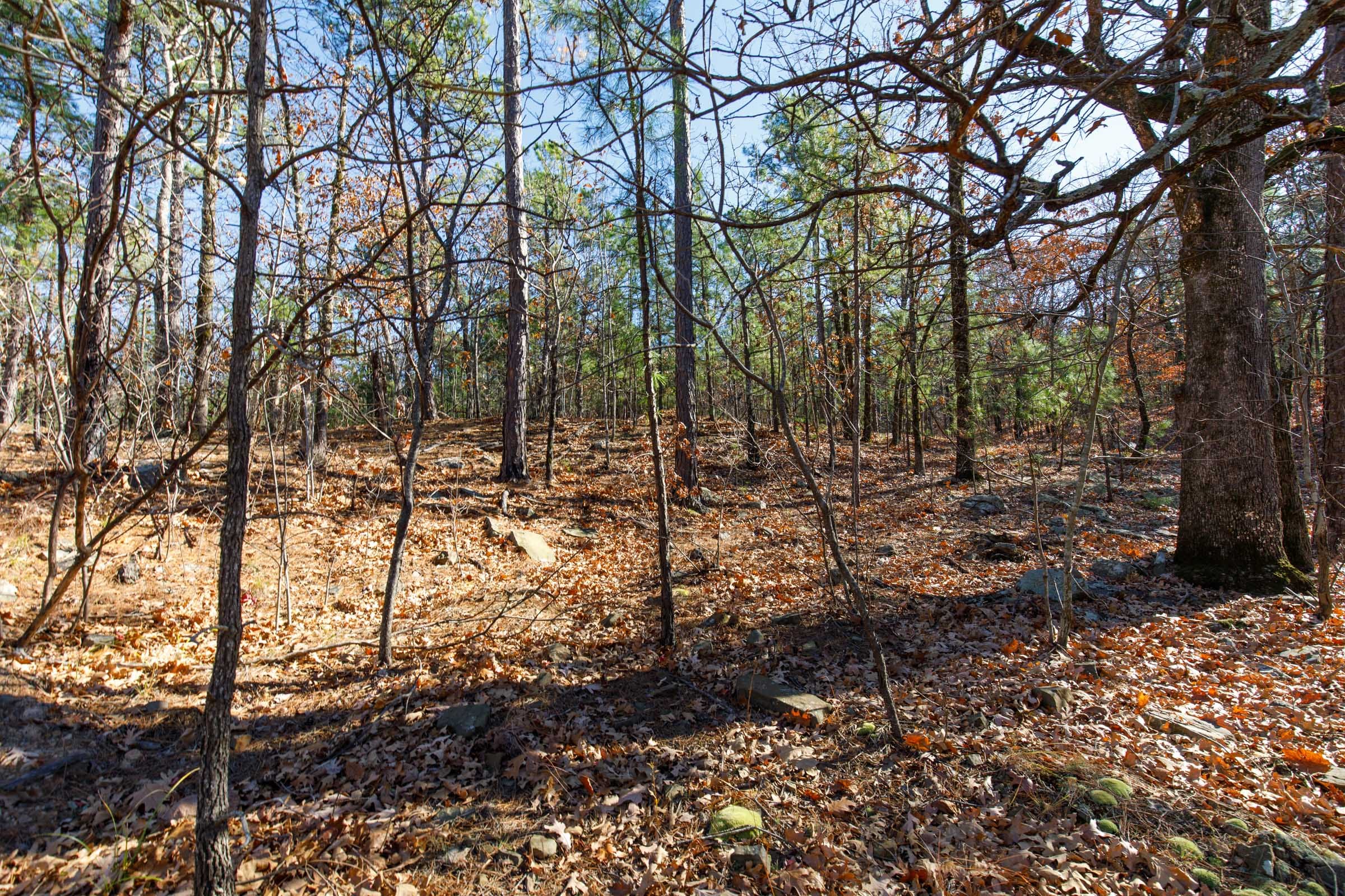 Stone Bridge Phase II Tract 132 photo 3