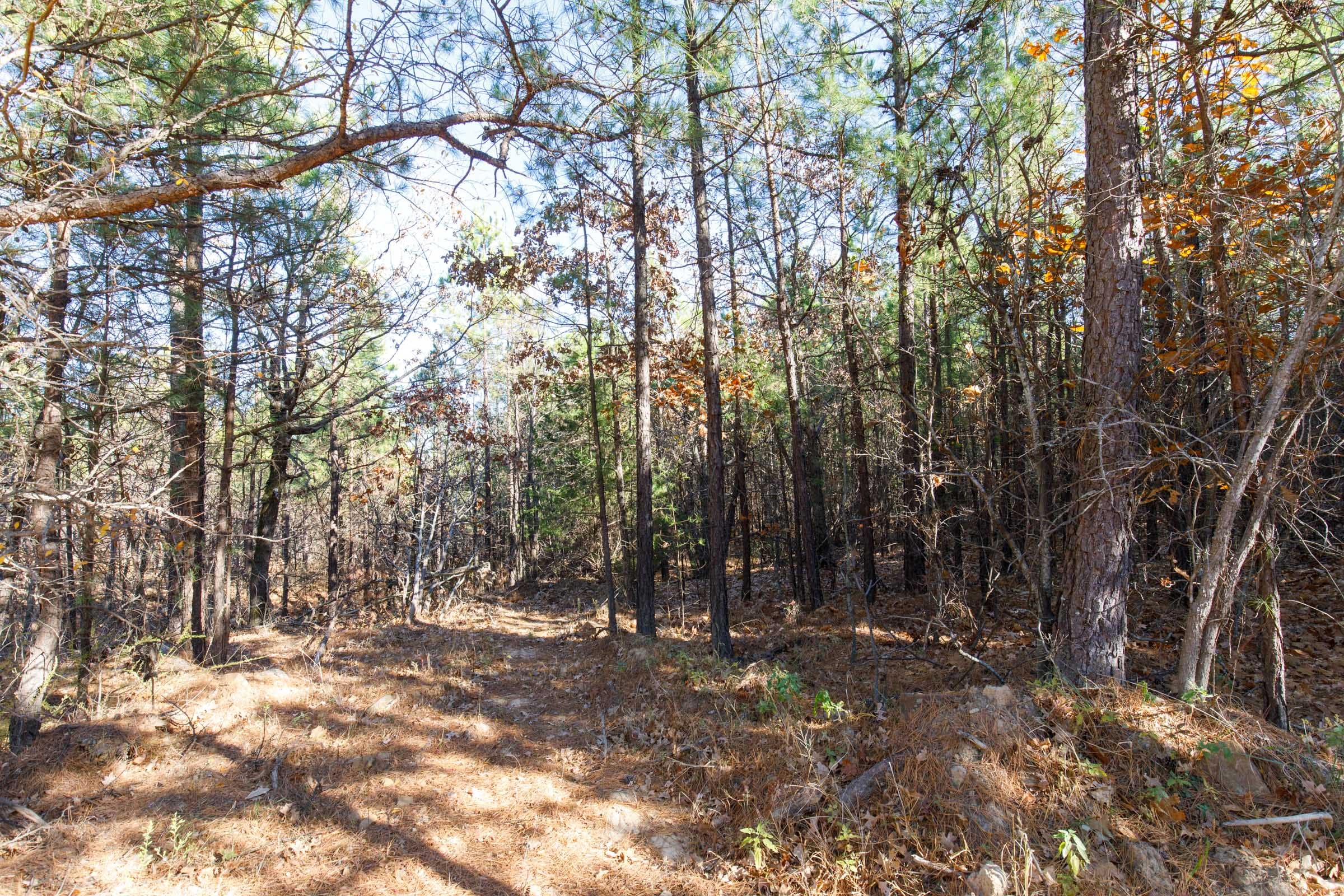 Stone Bridge Phase II Tract 132 photo 4