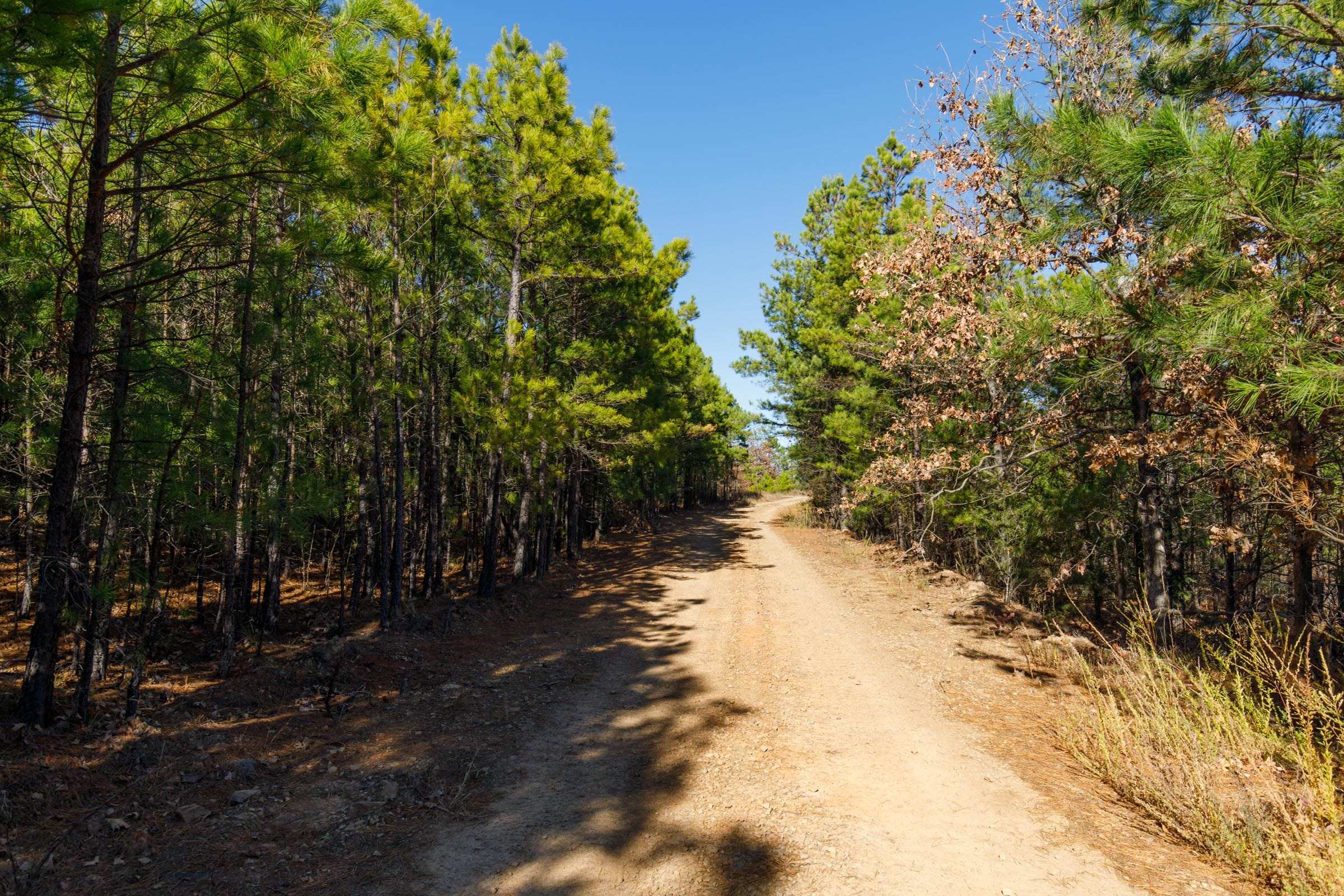 Stone Bridge Phase II Tract 132 photo 5