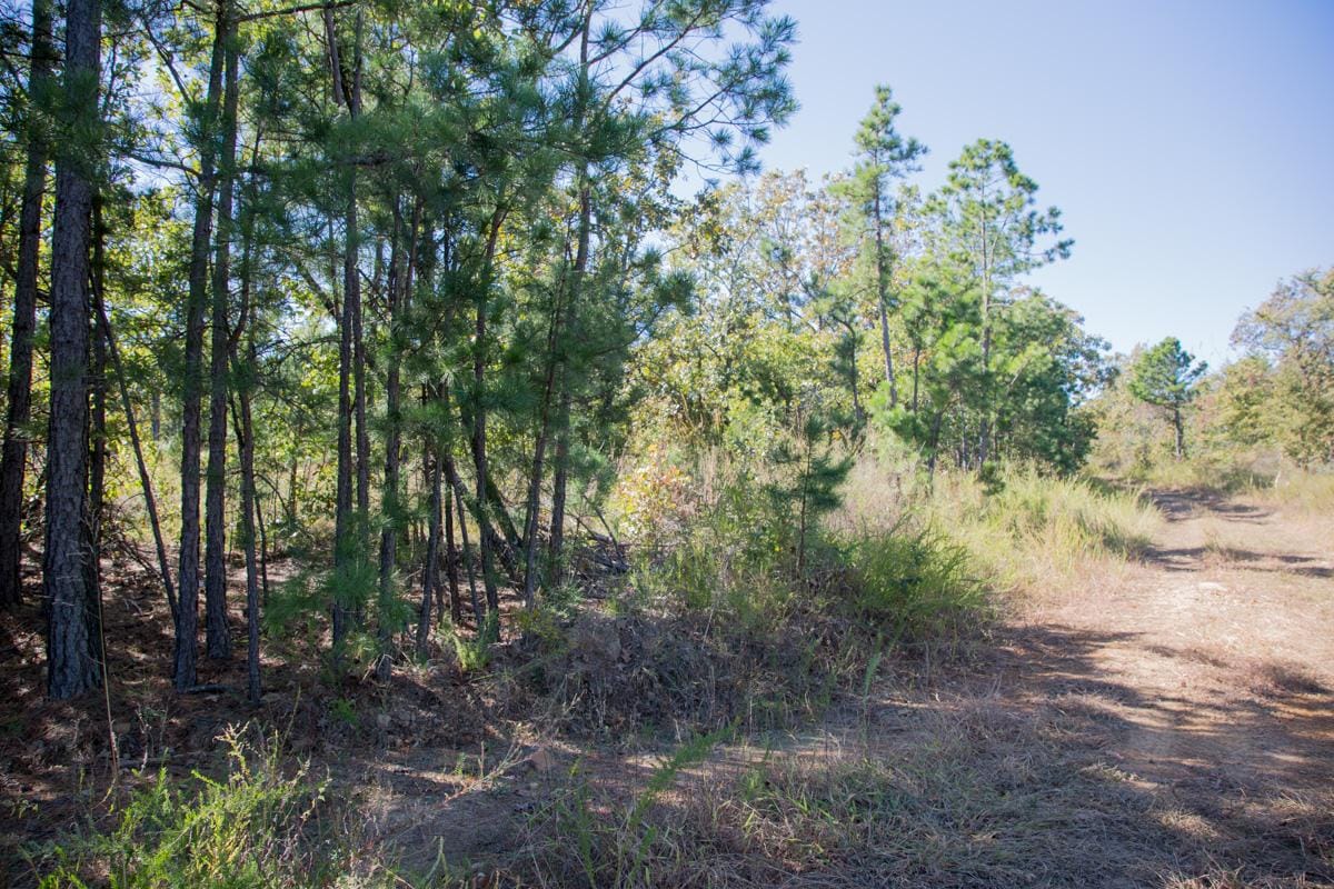 Stone Creek Phase I Tract 178 photo 2