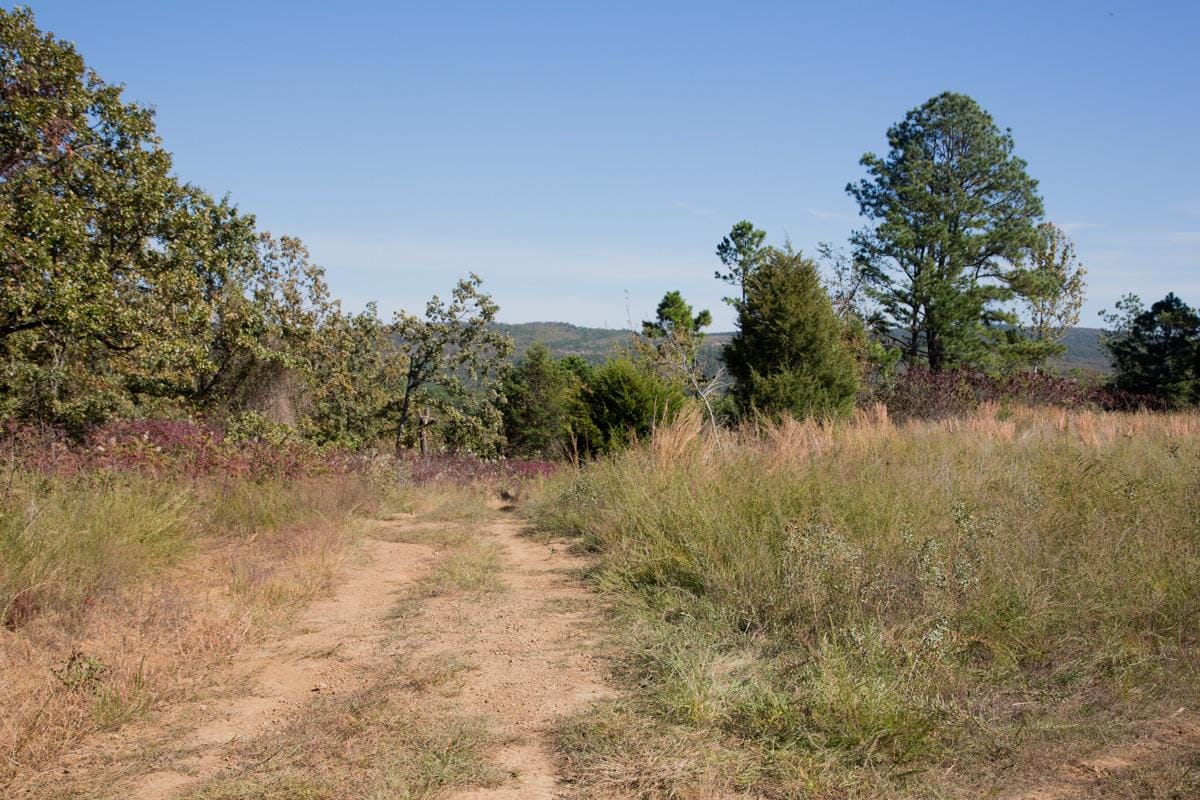 Stone Creek Phase I Tract 178 photo 4