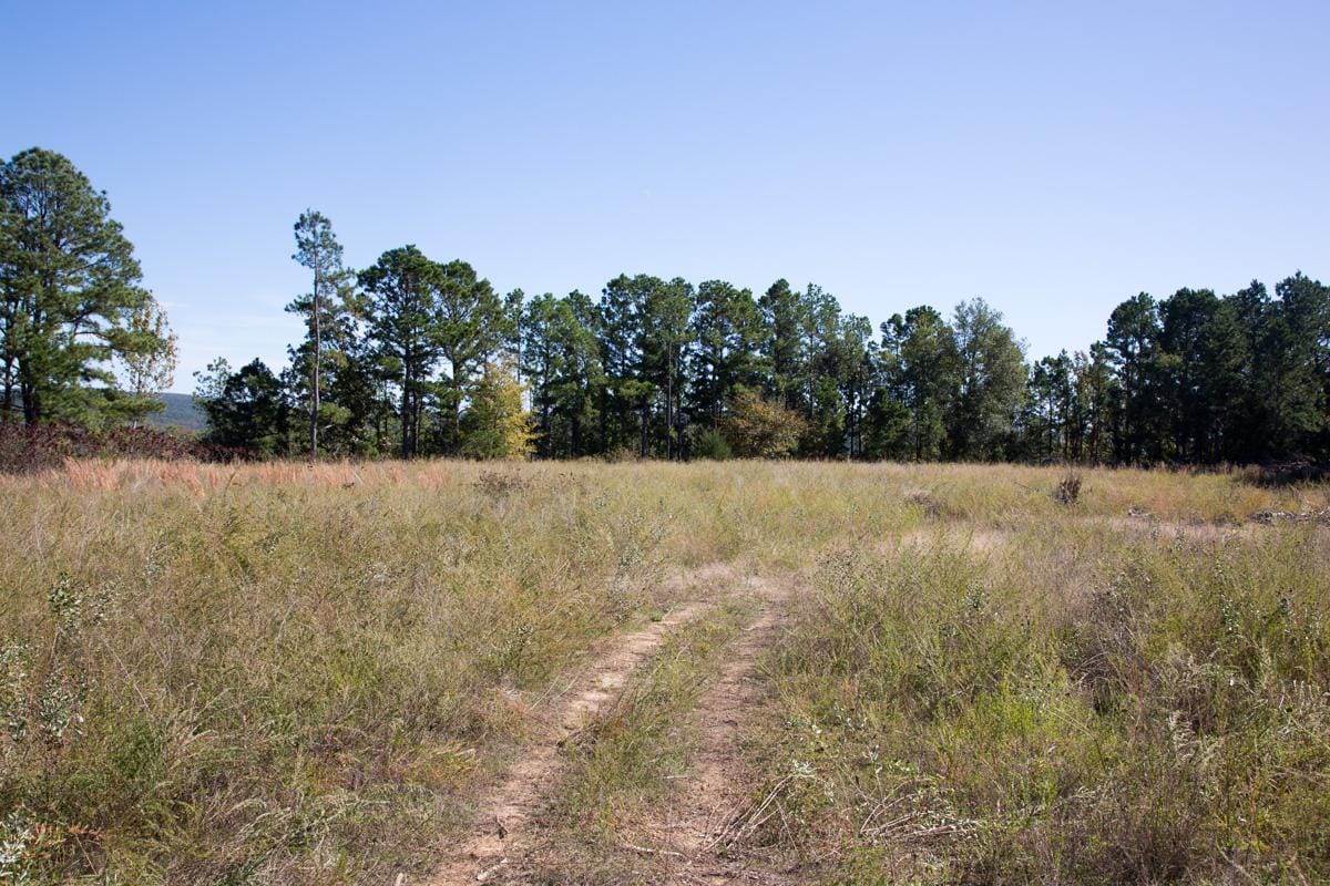 Stone Creek Phase I Tract 178 photo 5