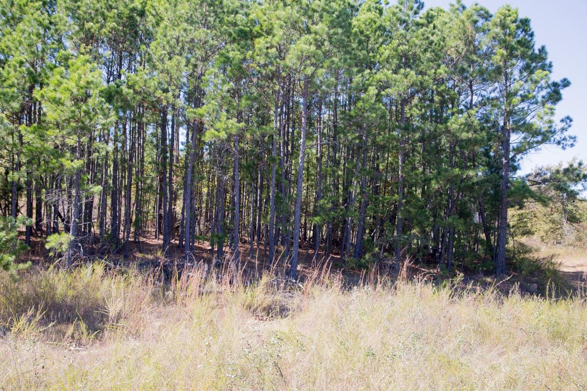 Stone Creek Phase I Tract 178 photo 6