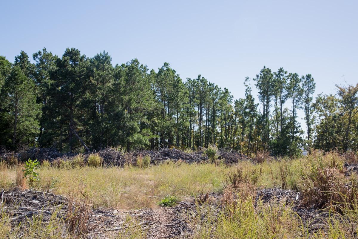 Stone Creek Phase I Tract 178 photo 9