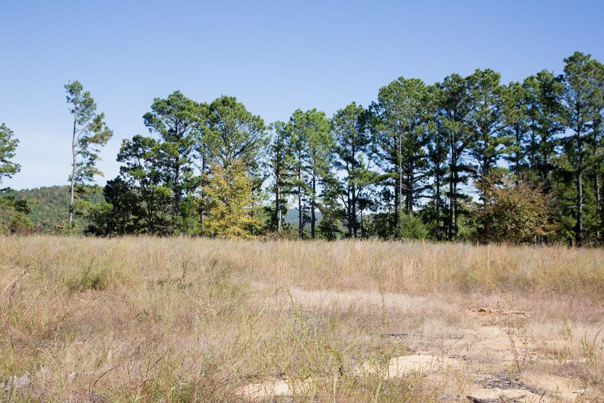 Stone Creek Phase I Tract 178 photo 11