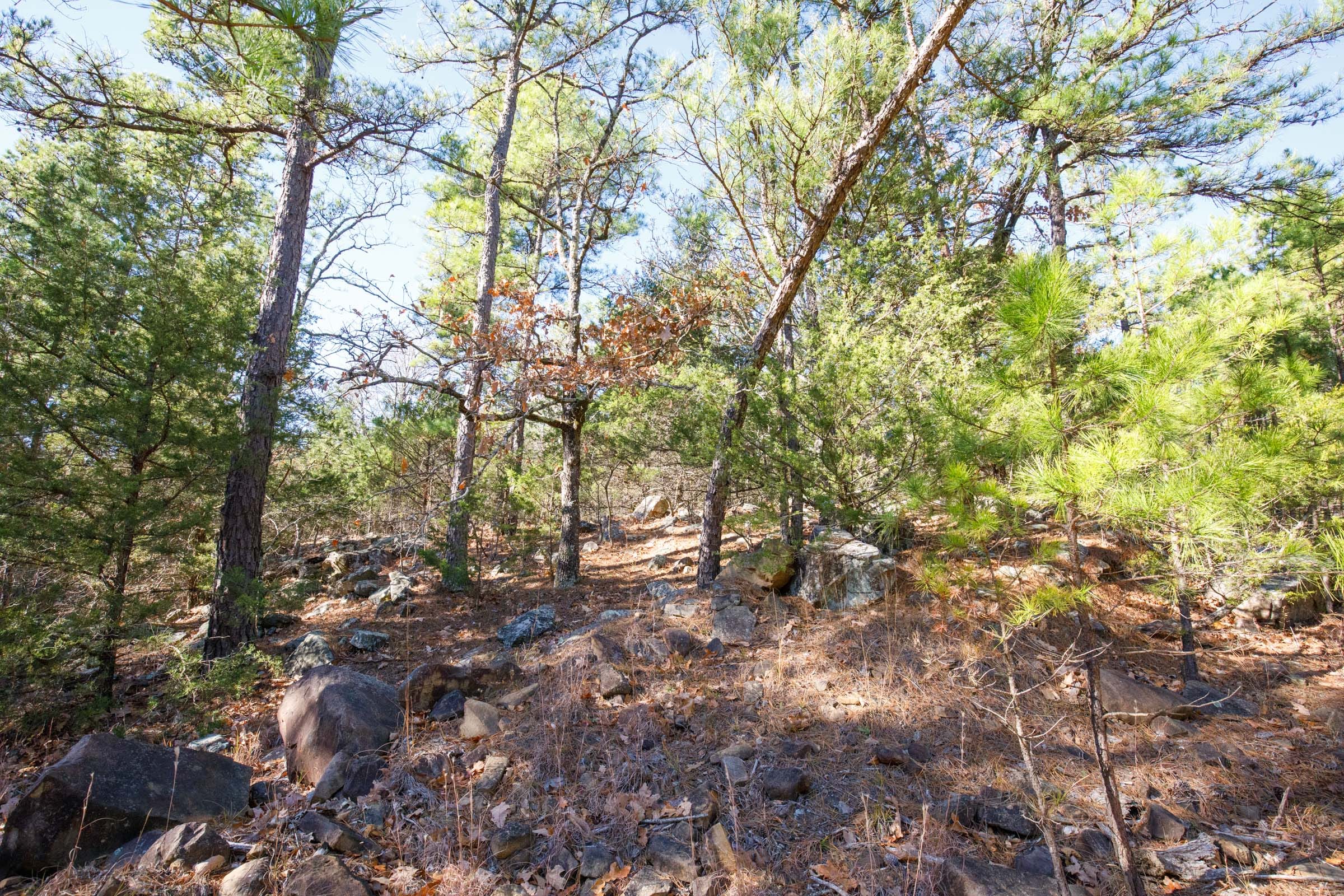 Stone Bridge Phase II Tract 109 photo 4