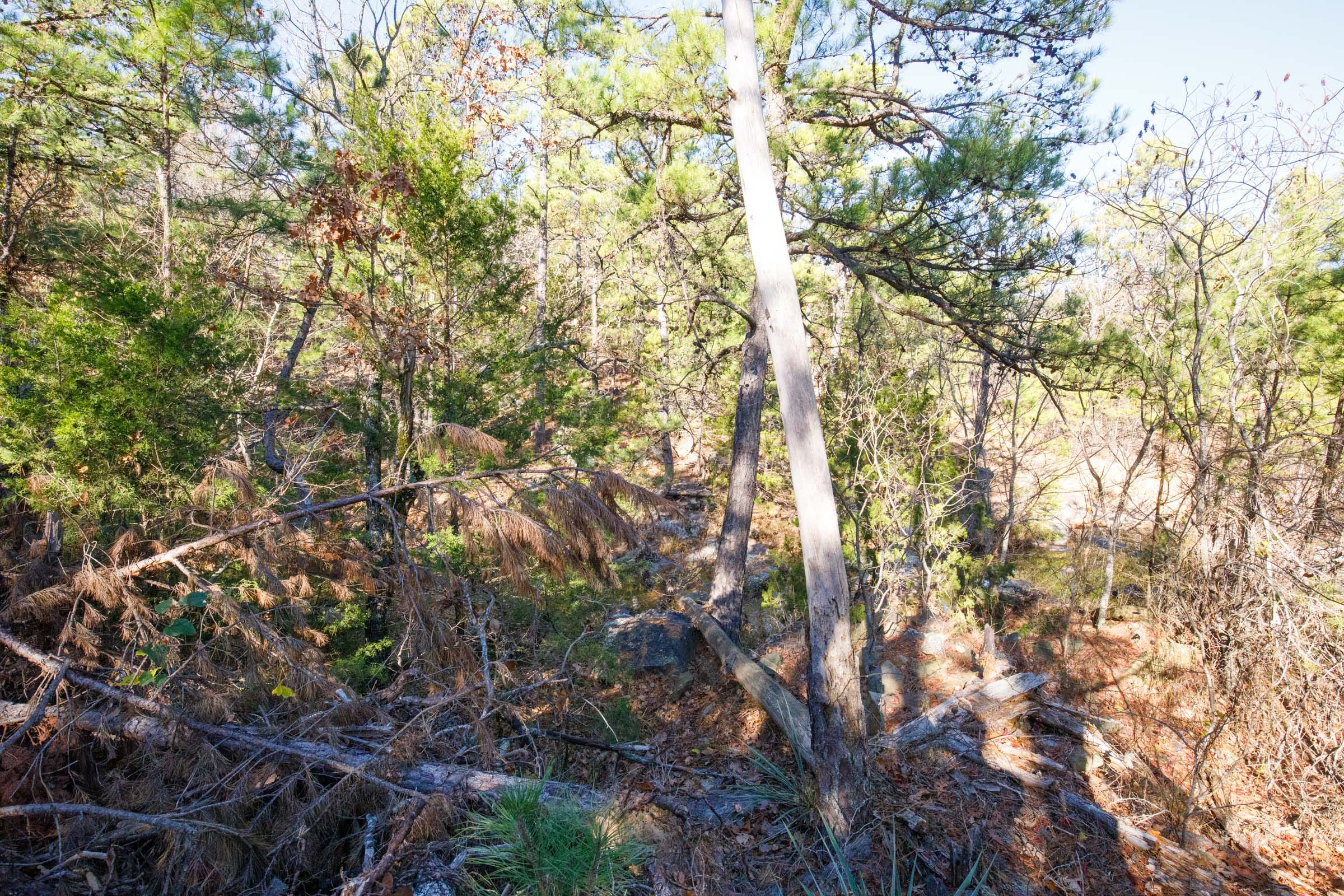 Stone Bridge Phase II Tract 109 photo 3