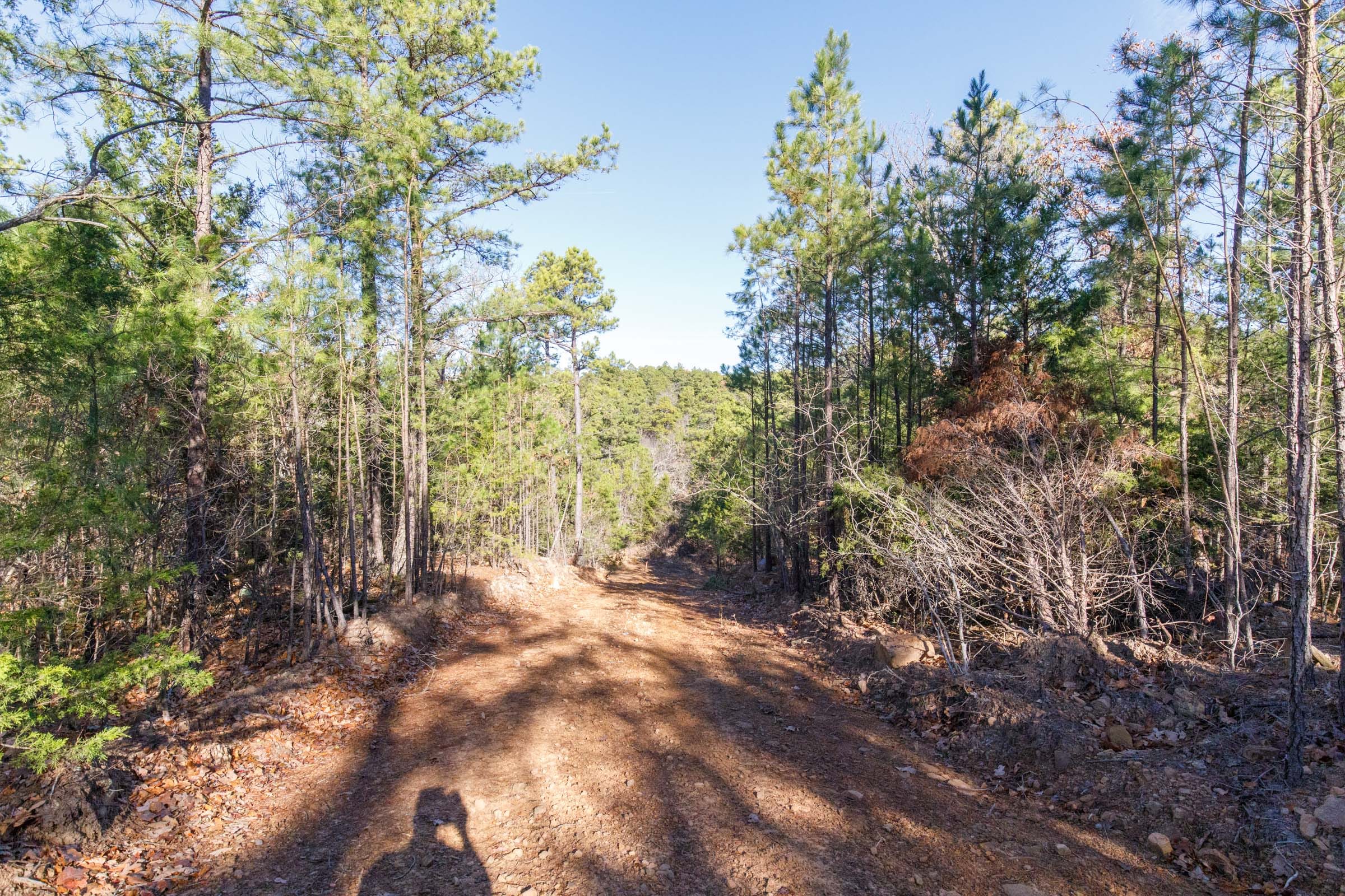 Stone Bridge Phase II Tract 109 photo 1