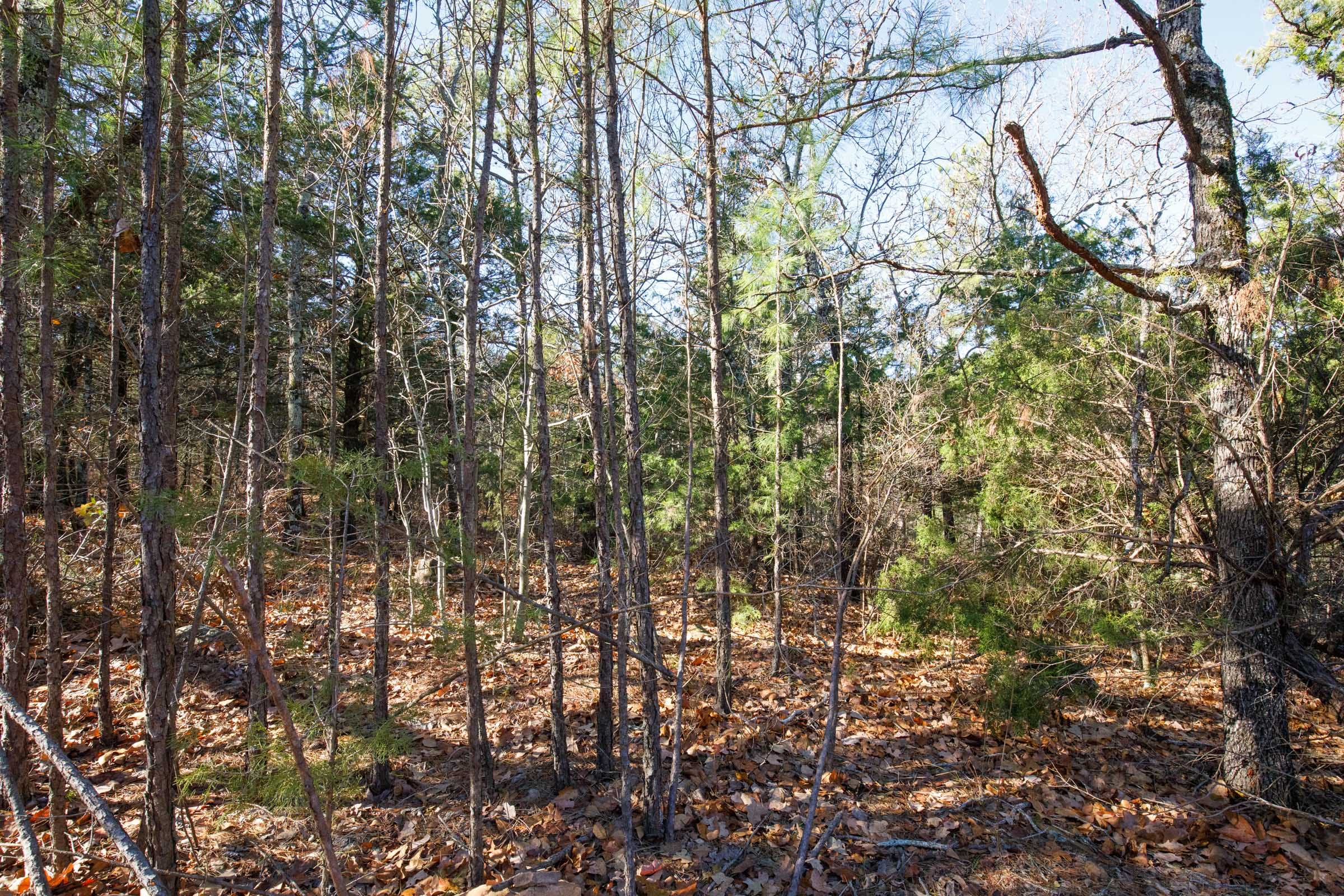 Stone Bridge Phase II Tract 109 photo 5