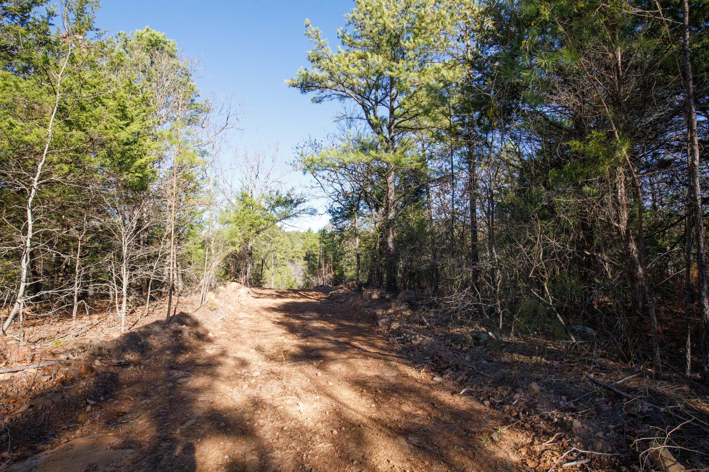 Stone Bridge Phase II Tract 109 photo 7
