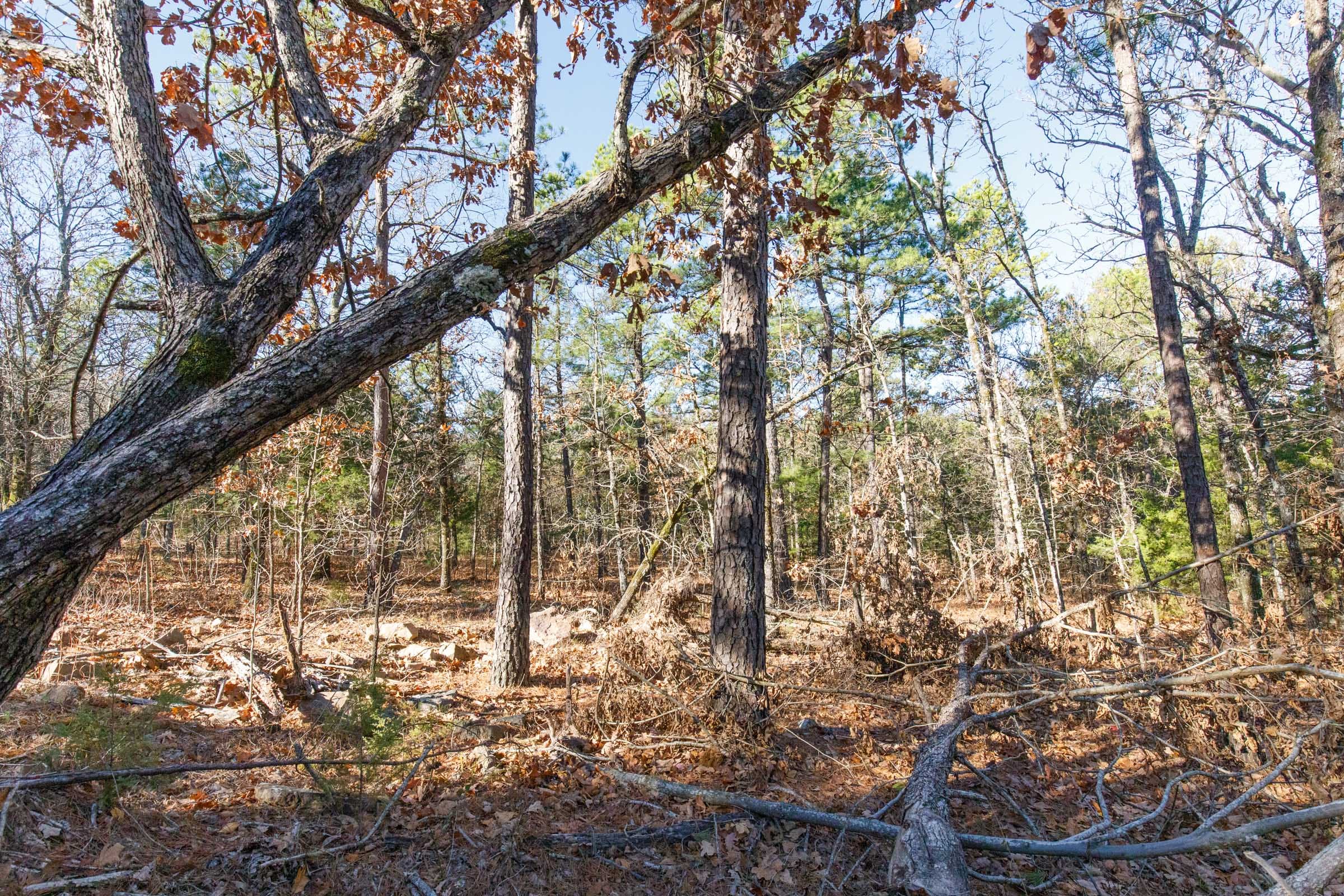 Stone Bridge Phase II Tract 109 photo 10