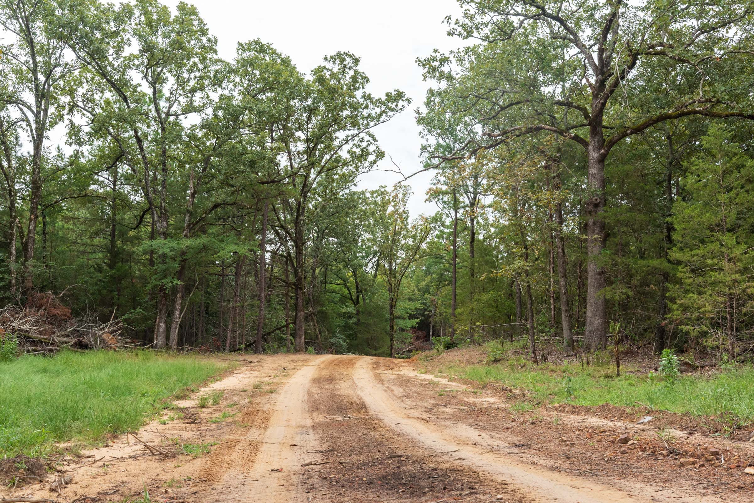 Stone Bridge Phase V Tract 419 photo 7