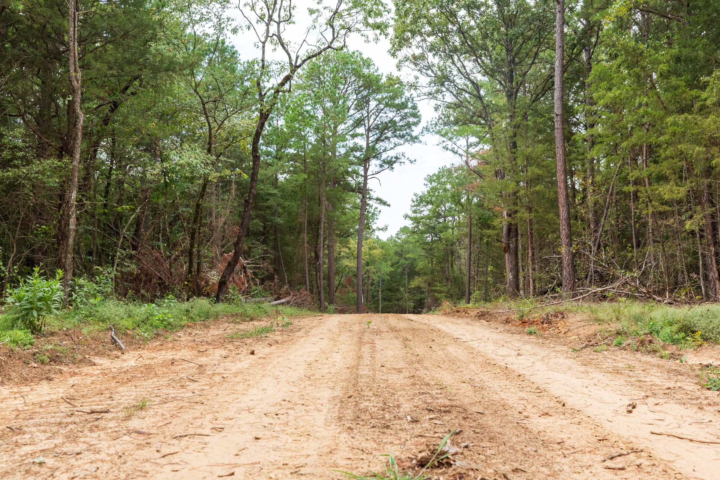 Stone Bridge Phase V Tract 419 photo 12