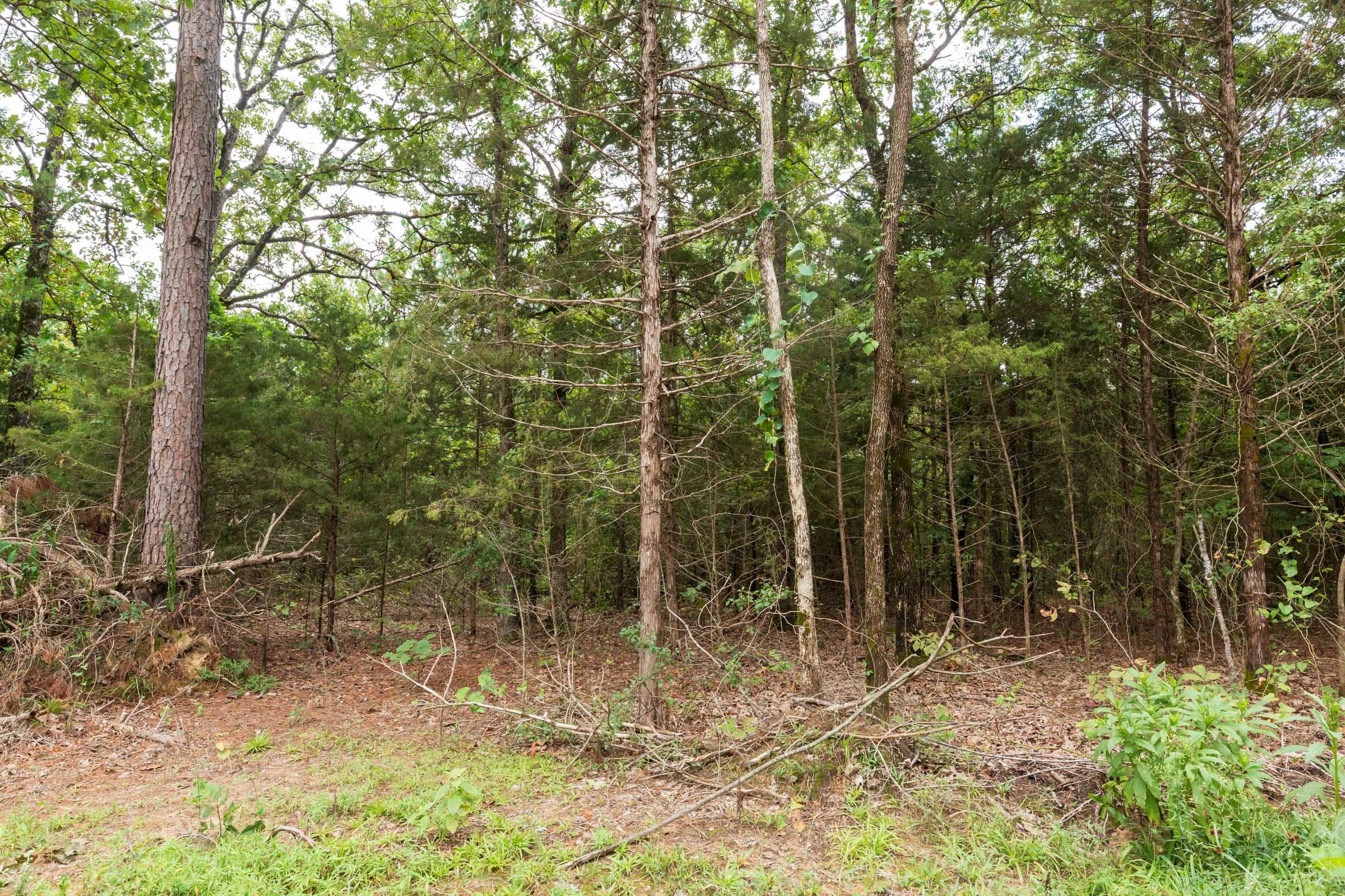 Stone Bridge Phase V Tract 419 photo 13