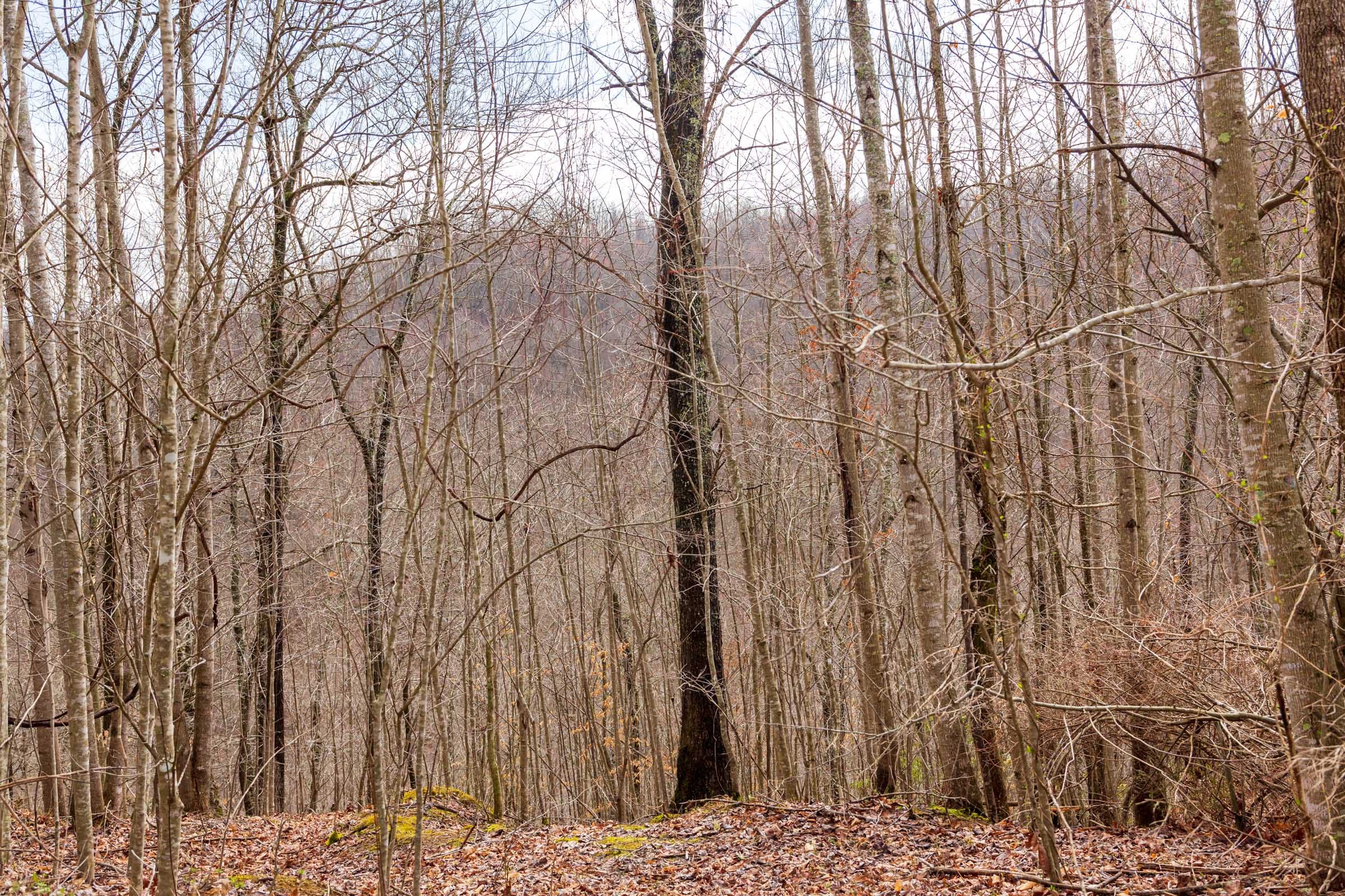 Blackstone Mountain Phase II Tract 79 photo 10