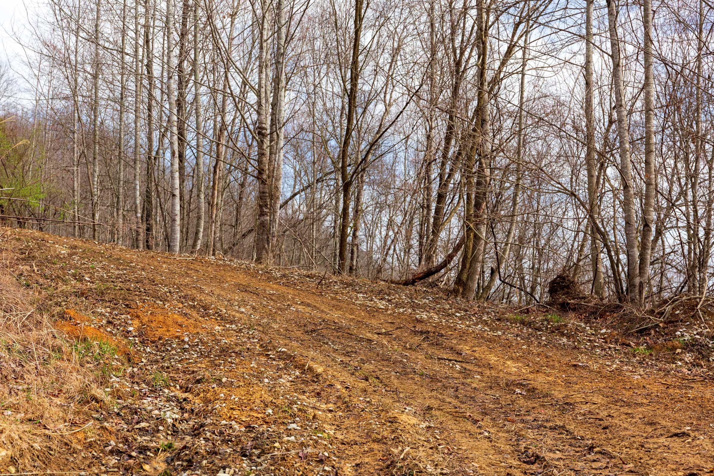 Blackstone Mountain Phase II Tract 79 photo 11