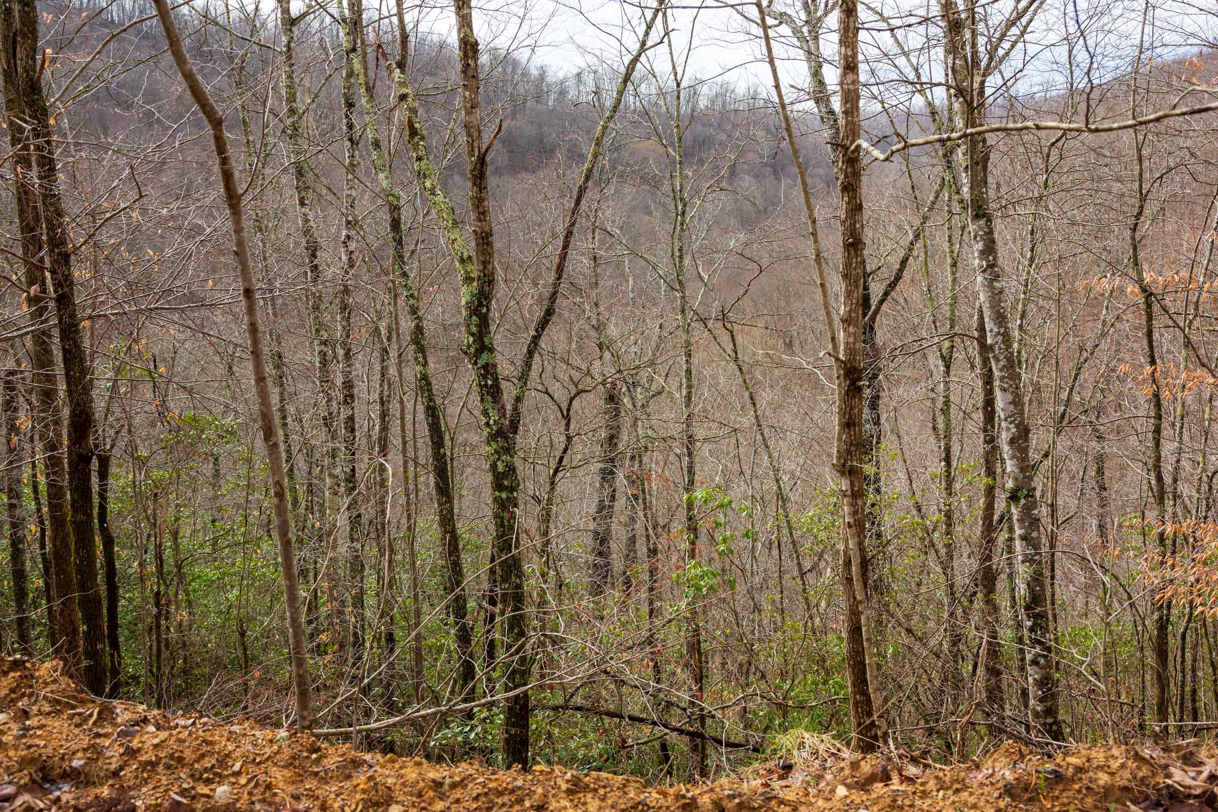 Blackstone Mountain Phase II Tract 79 photo 13