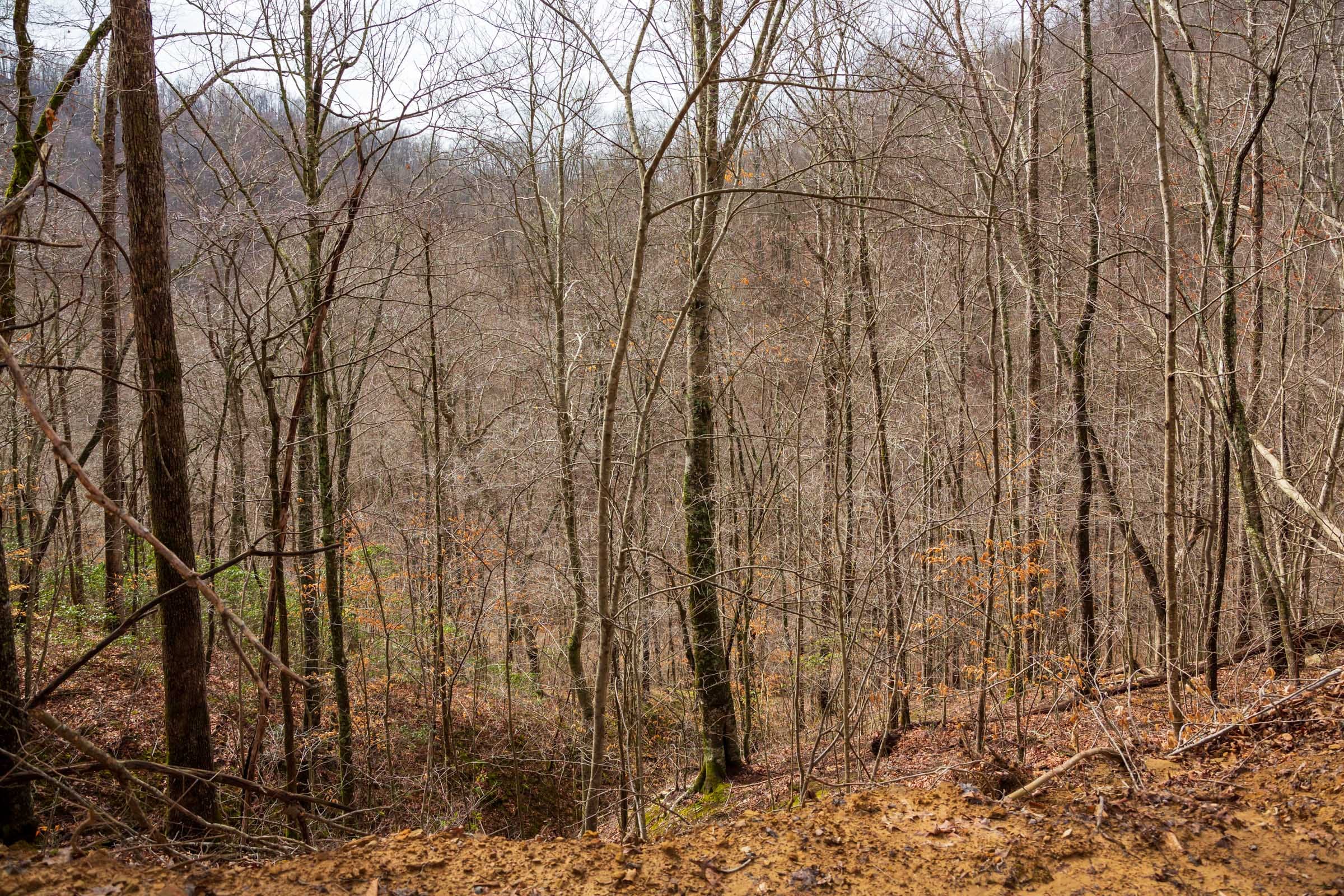 Blackstone Mountain Phase II Tract 79 photo 14