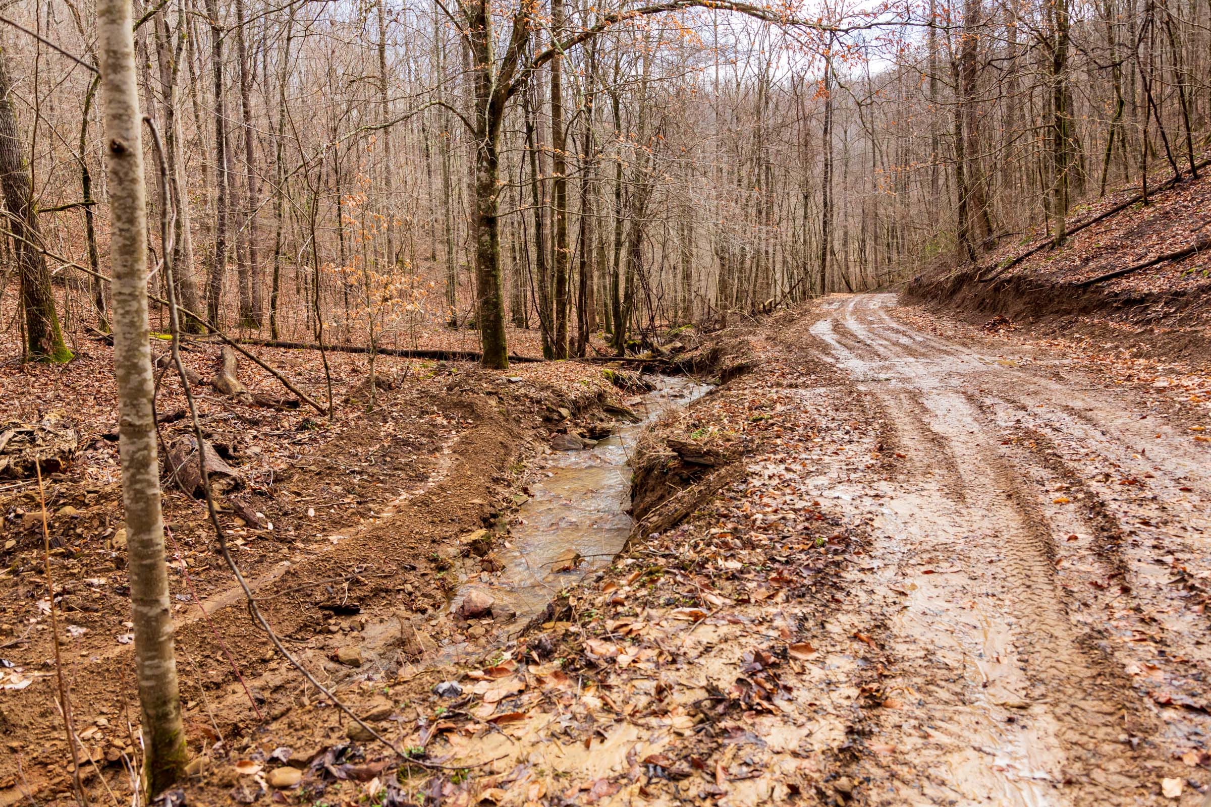 Blackstone Mountain Phase II Tract 79 photo 15