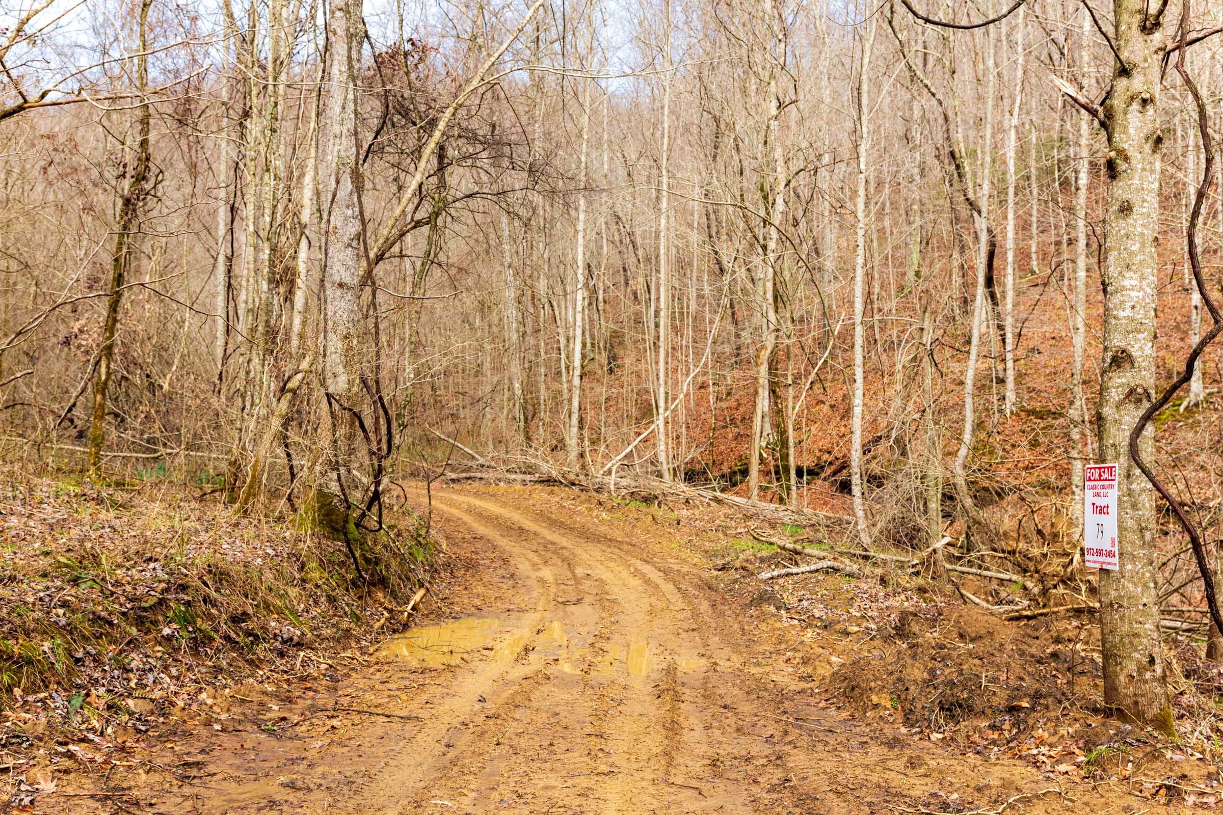 Blackstone Mountain Phase II Tract 79 photo 1