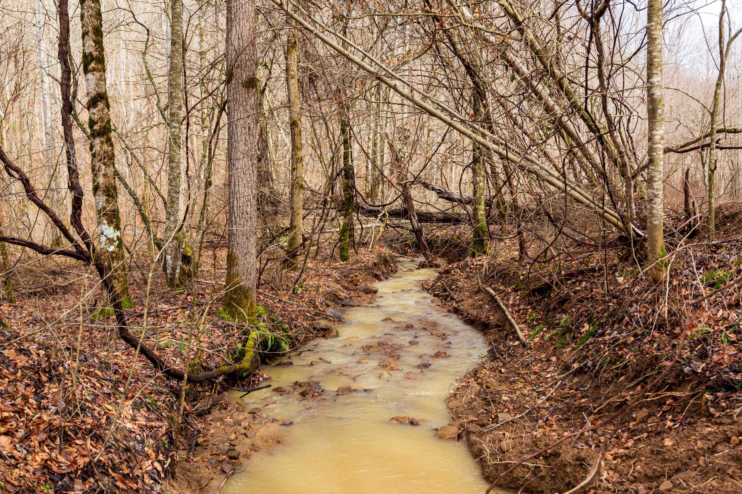Blackstone Mountain Phase II Tract 79 photo 8