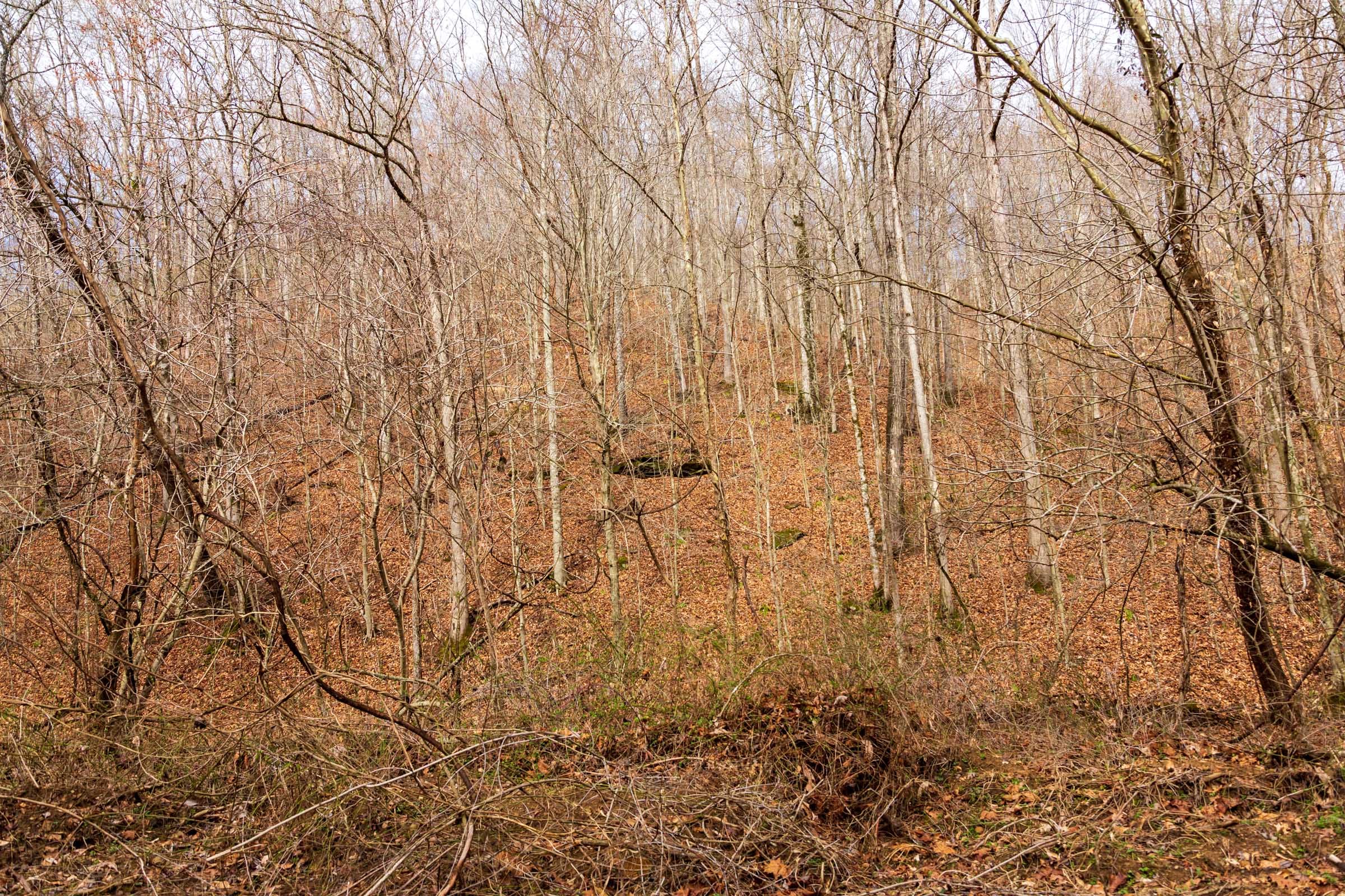 Blackstone Mountain Phase II Tract 79 photo 21