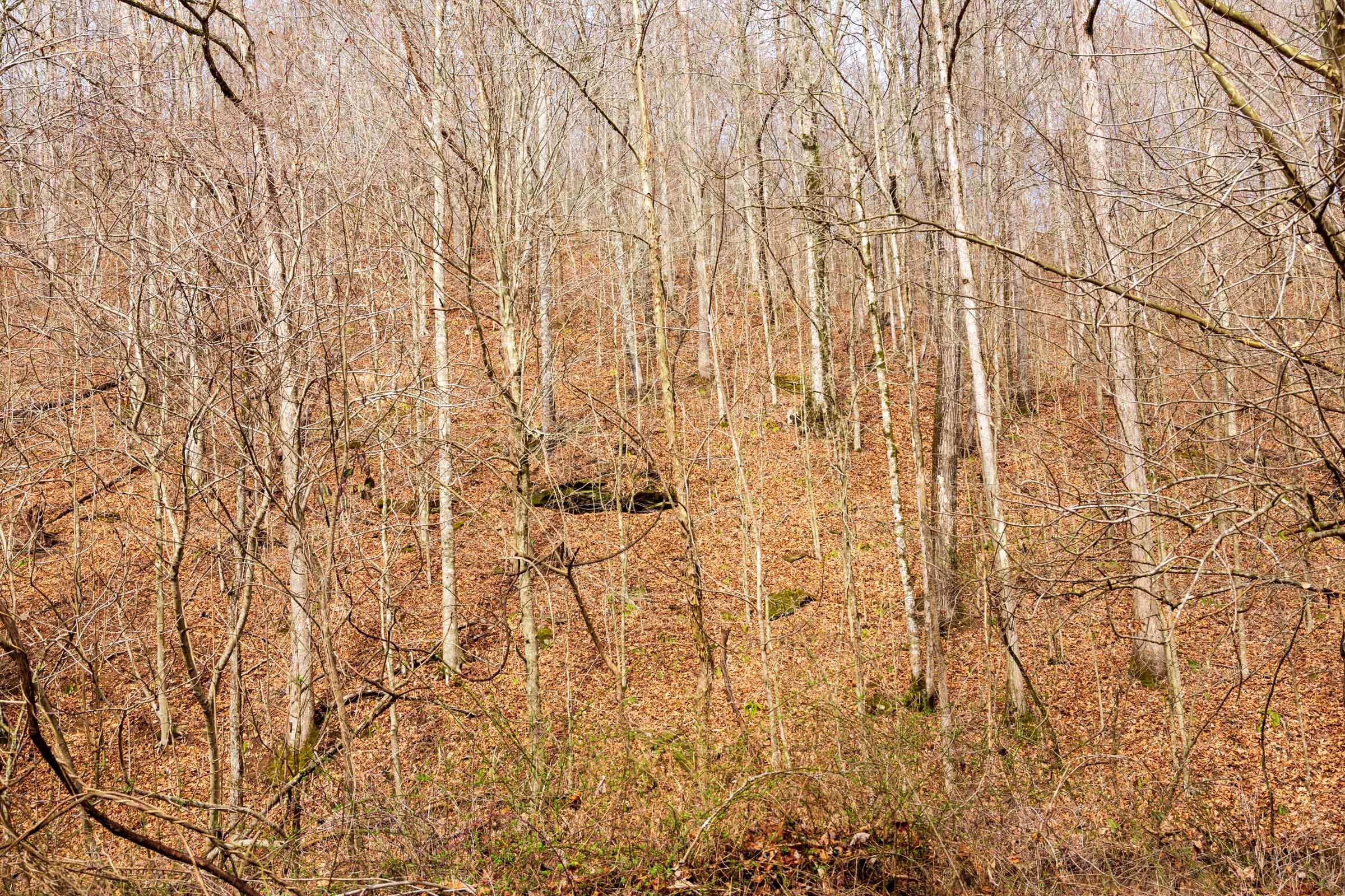 Blackstone Mountain Phase II Tract 79 photo 22