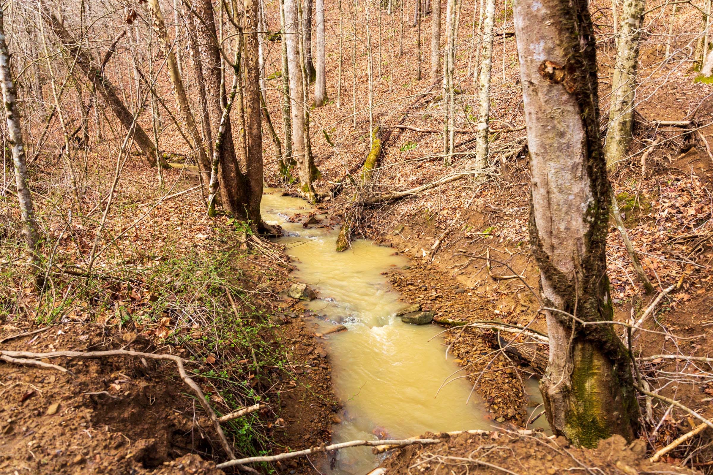 Blackstone Mountain Phase II Tract 79 photo 12