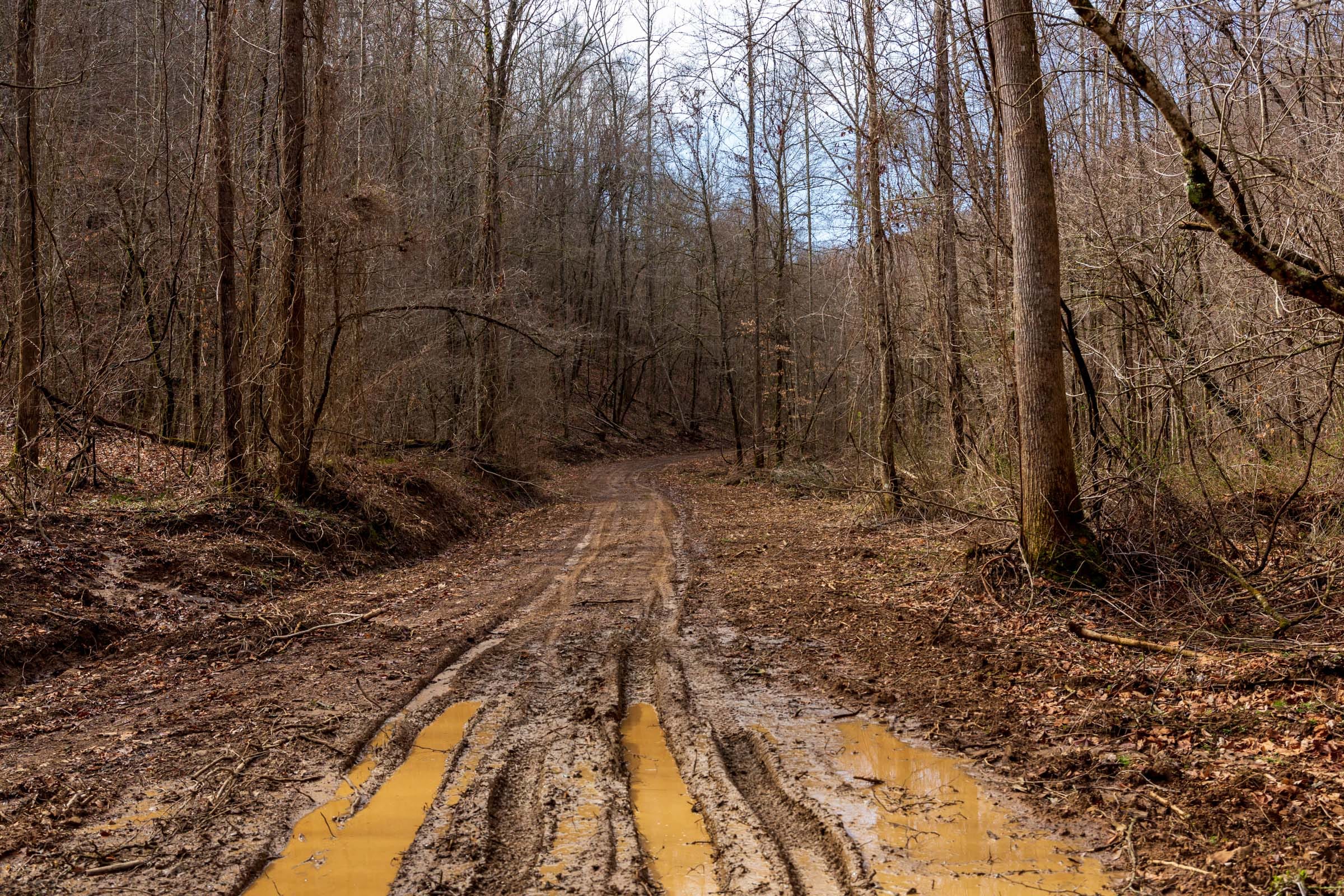 Blackstone Mountain Phase II Tract 79 photo 23