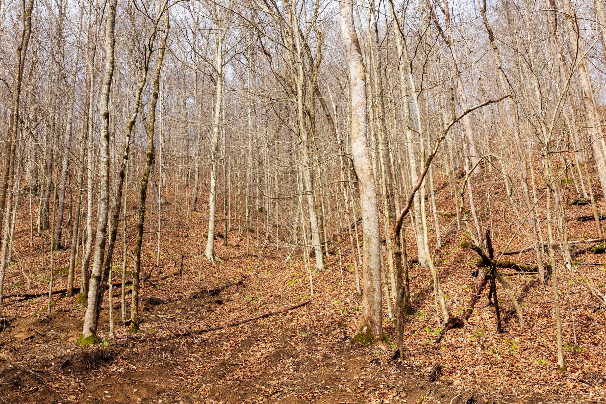 Blackstone Mountain Phase II Tract 79 photo 24