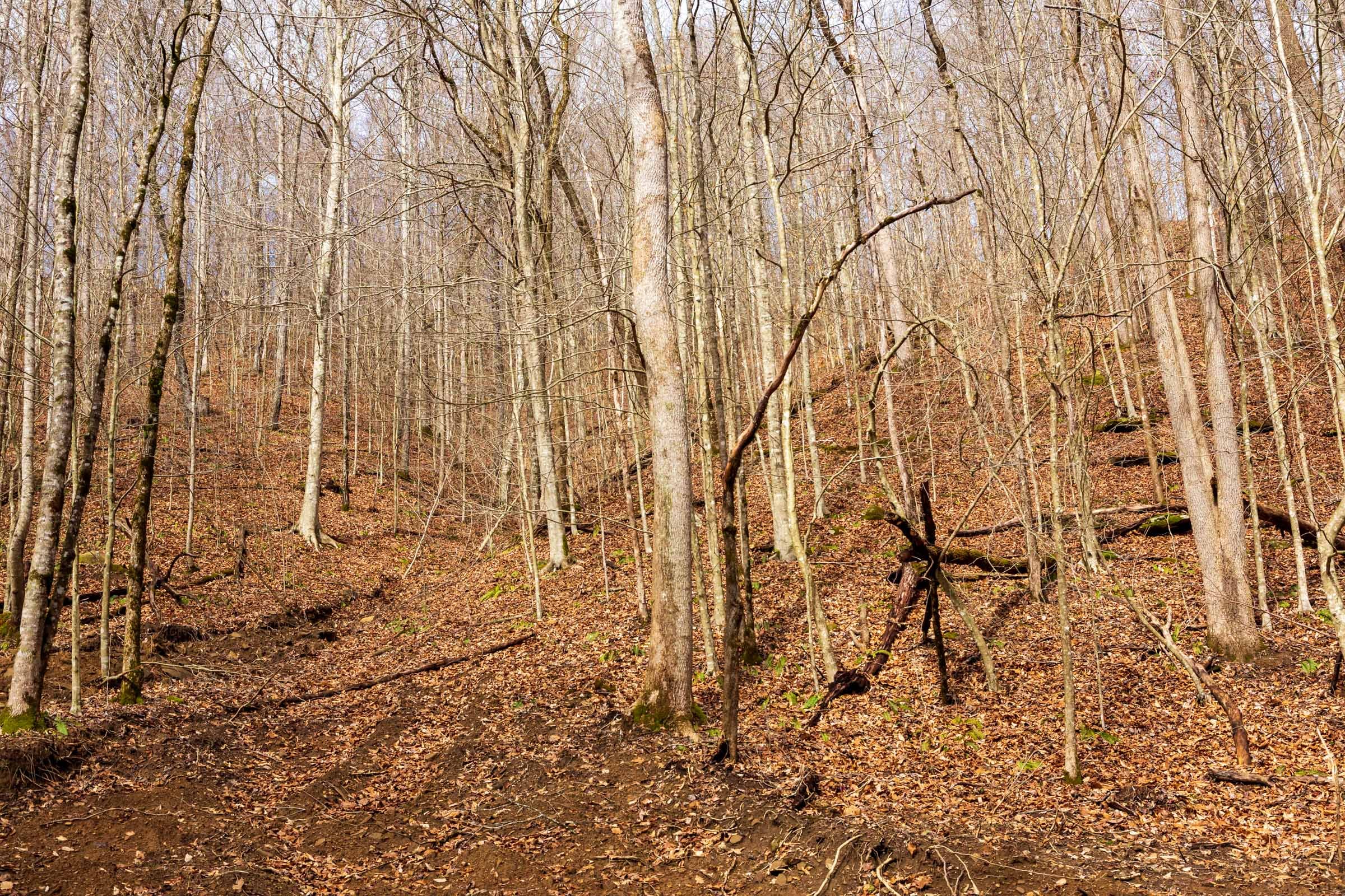 Blackstone Mountain Phase II Tract 79 photo 25