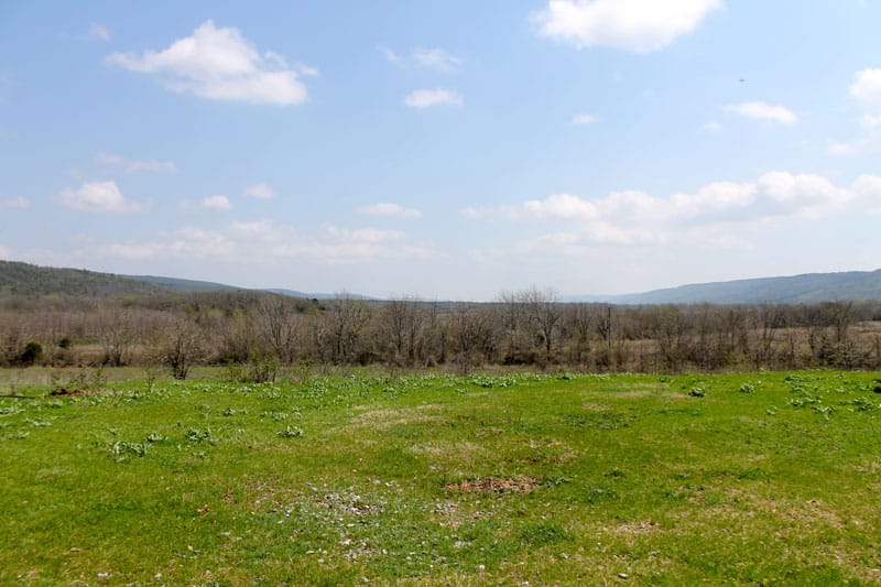 Daisy Meadows Tract 12 photo 3